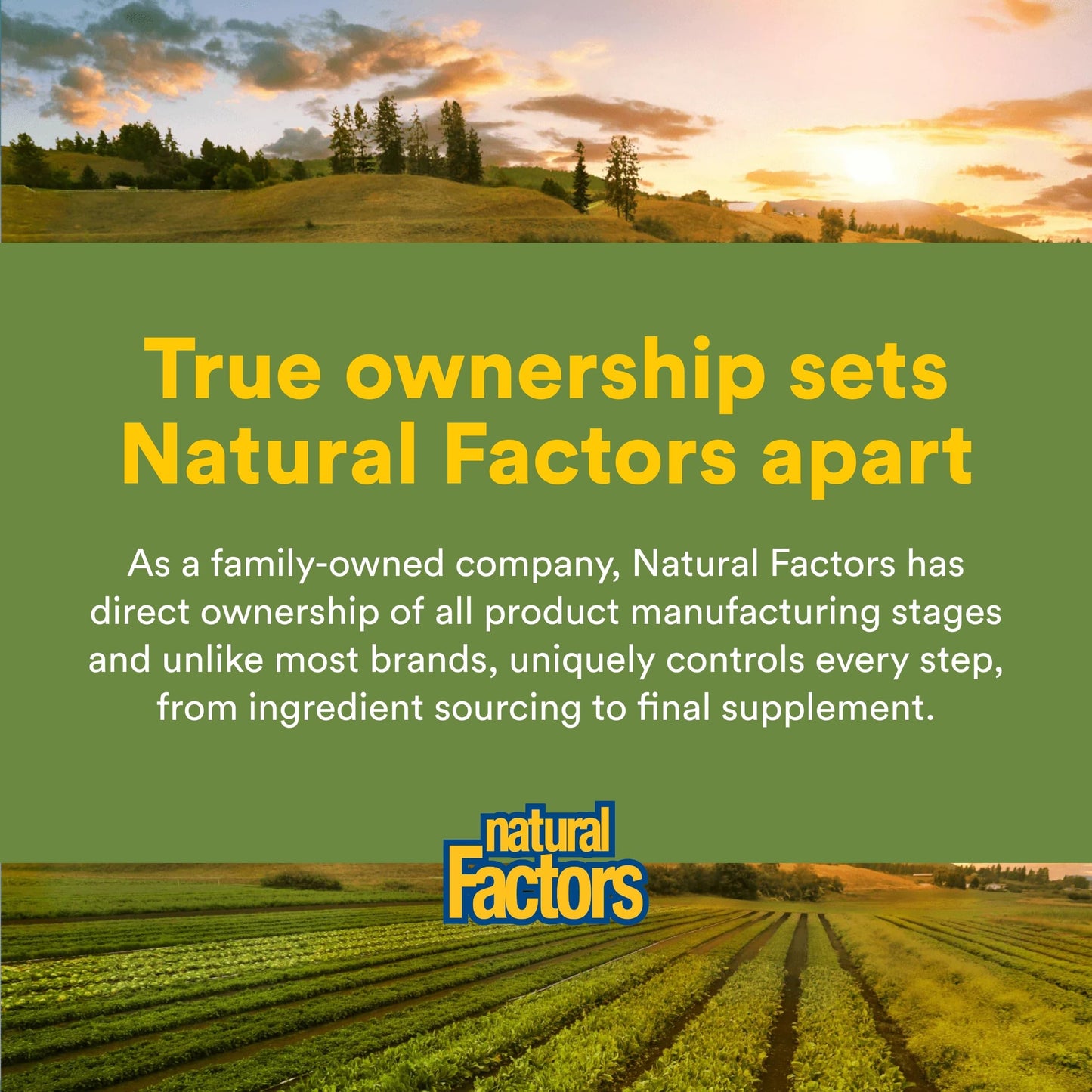 Natural Factors Berberine LipoMicel Matrix Softgels 90