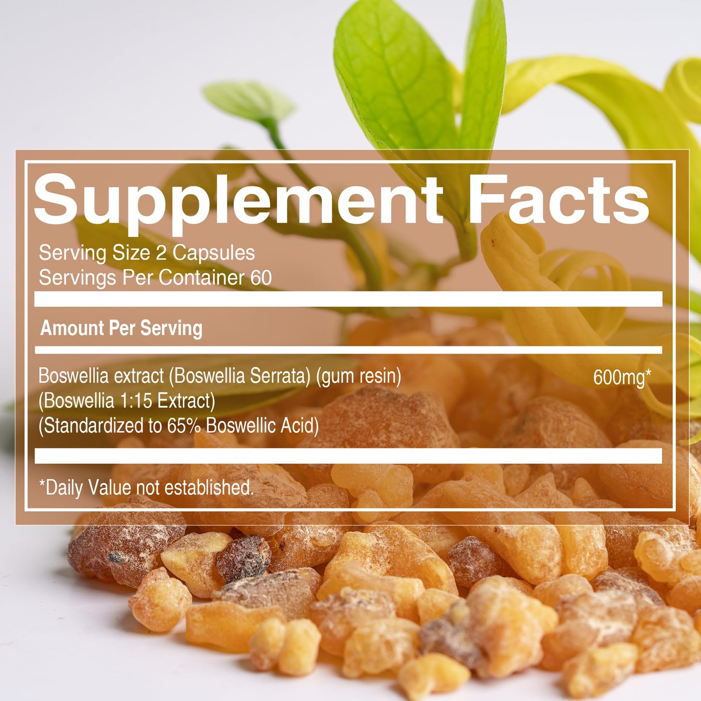 Pure Nutrition Natural Treasures Boswellia Serrata 600 mg Capsule, 120 Count