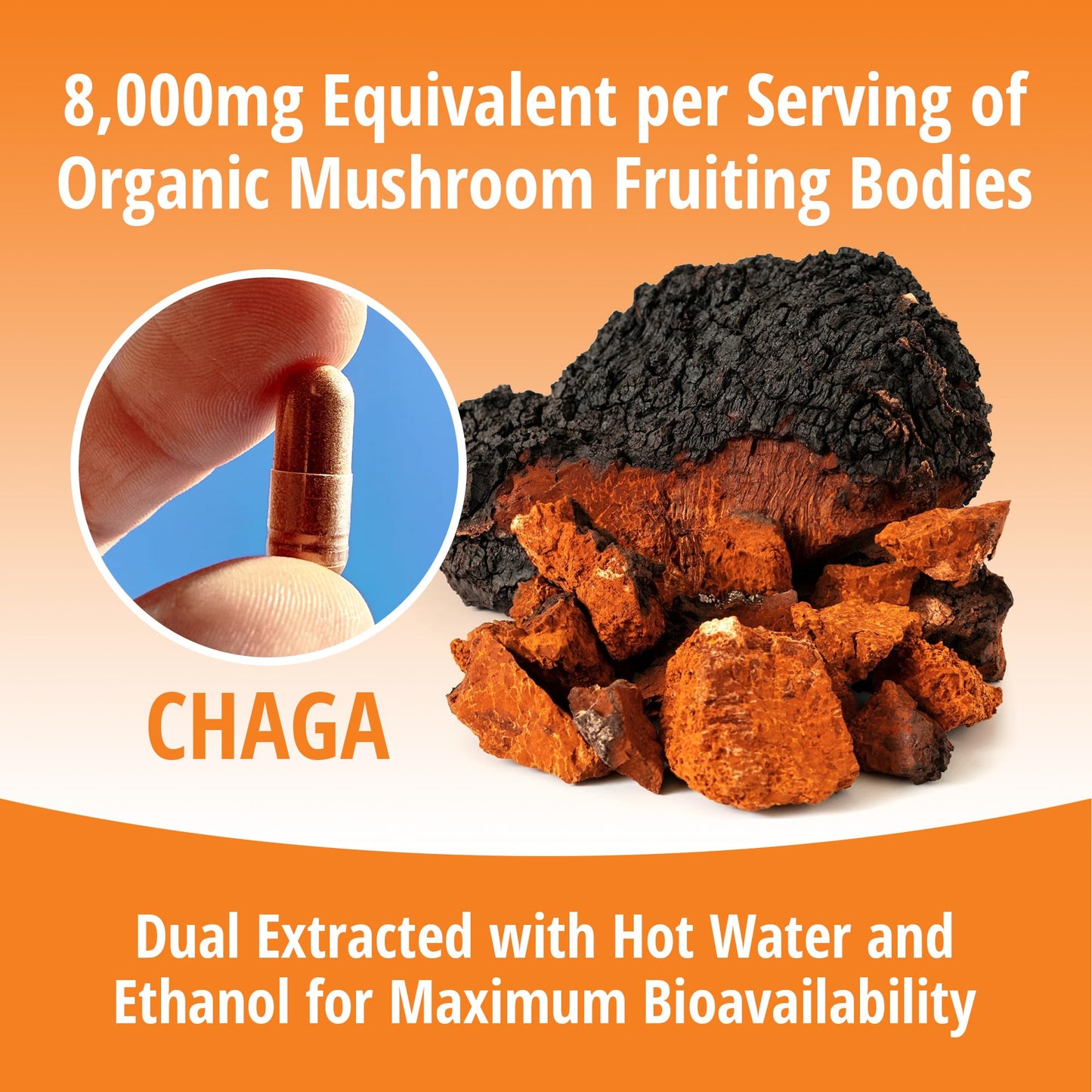 ENCAPSULATE Chaga 8:1 Extract capsules, 60 Count