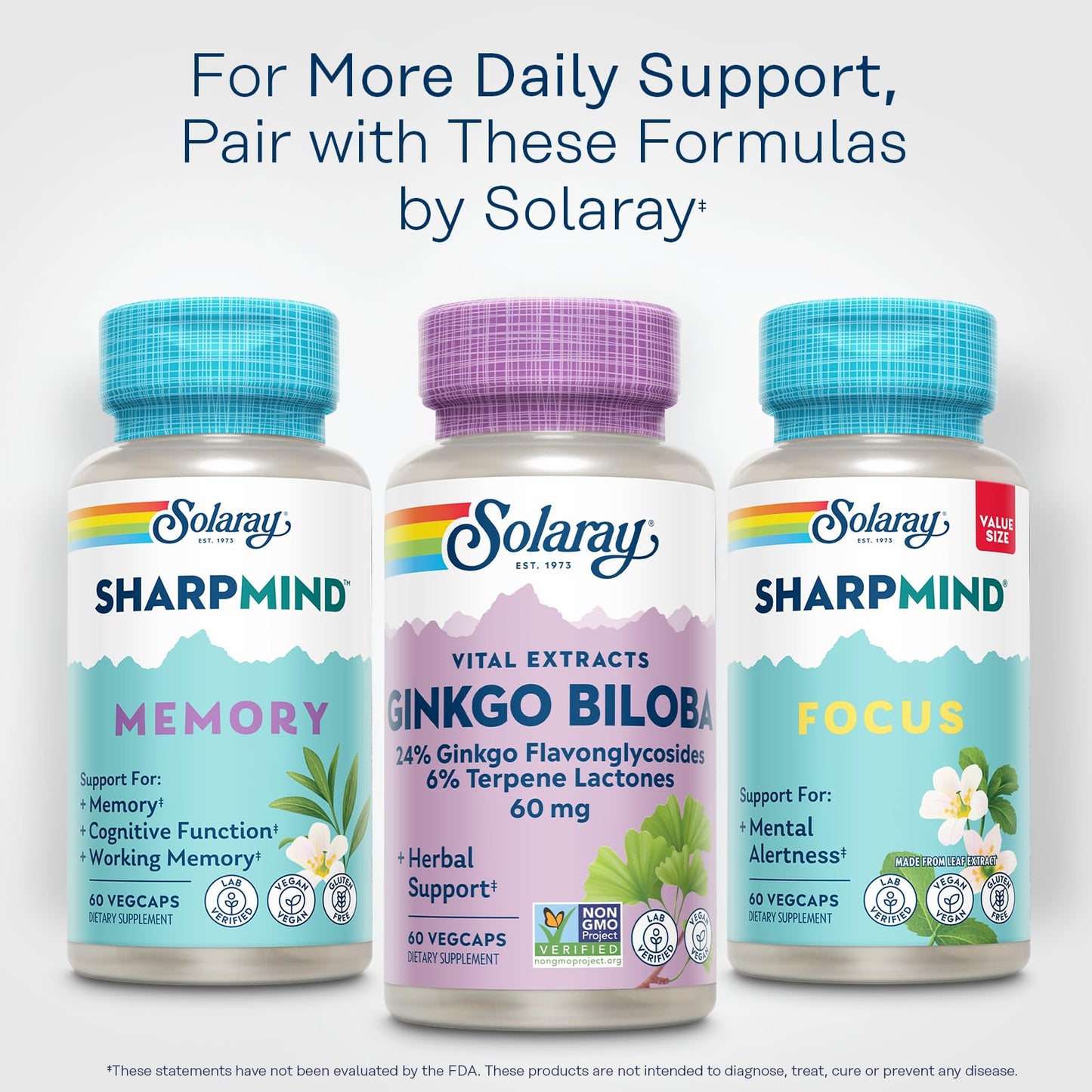 Solaray Ginkgo Biloba Extract Vital Extracts Brain Supplement Capsules - 60 Capsules