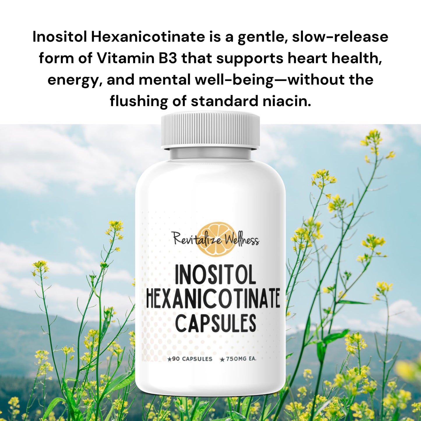 Revitalize Wellness Niacin Capsules Inositol Hexanicotinate, 90 Capsules