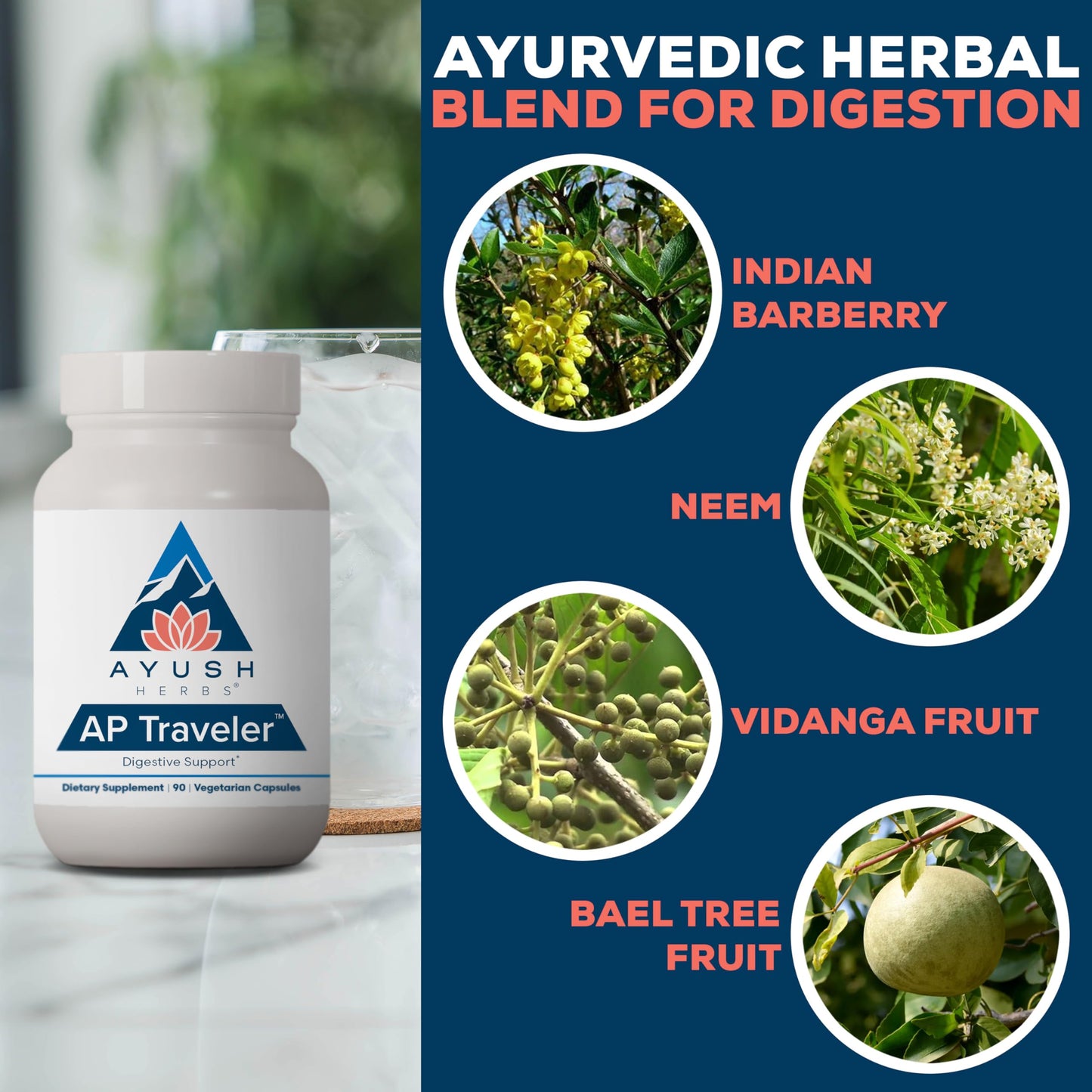Ayush Herbs AP Traveler Digestive Support with Holy Basil & Neem, 90 Capsules