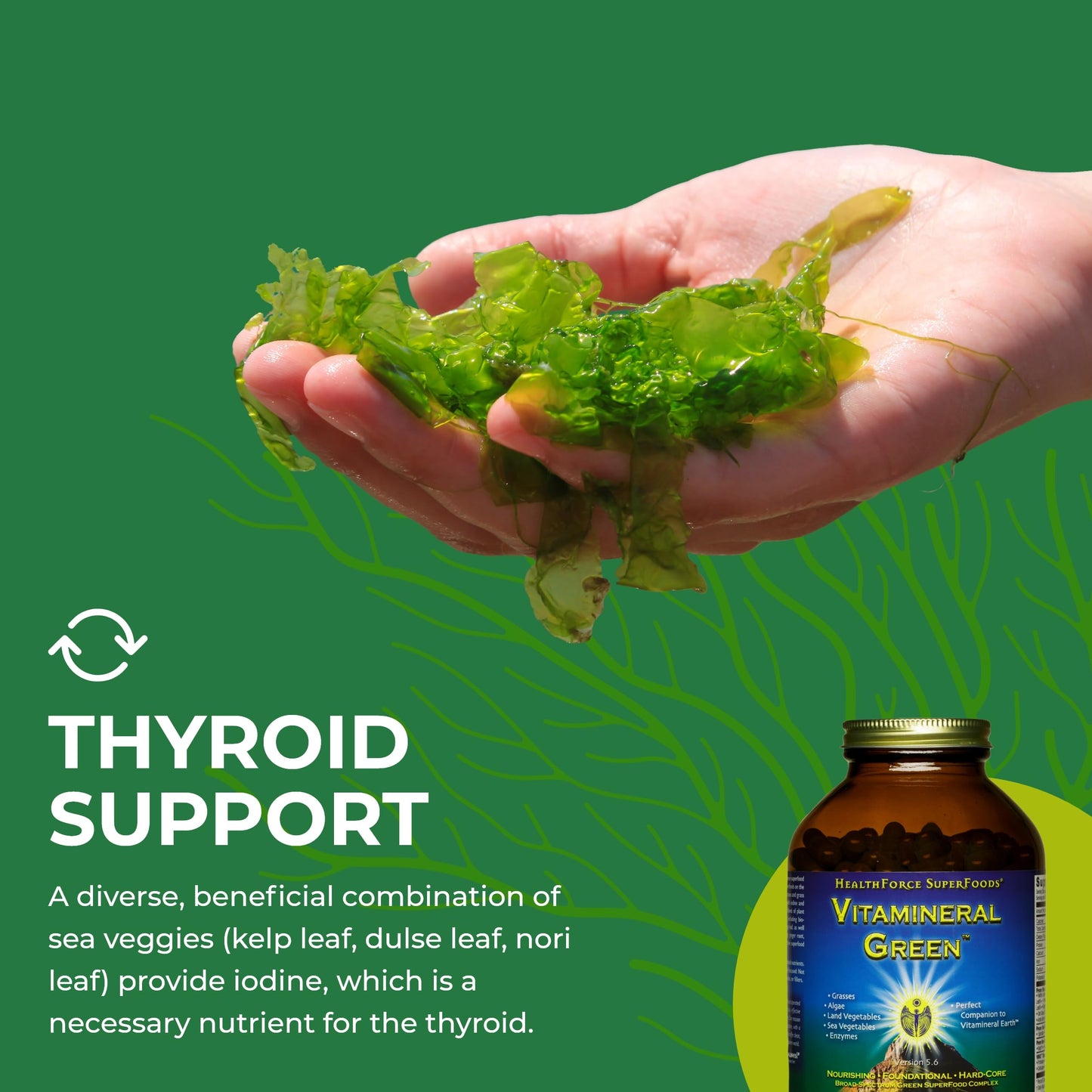 HEALTHFORCE SUPERFOODS Vitamineral Green Mineral Supplement for Immune & Thyroid Support 400 Capsules