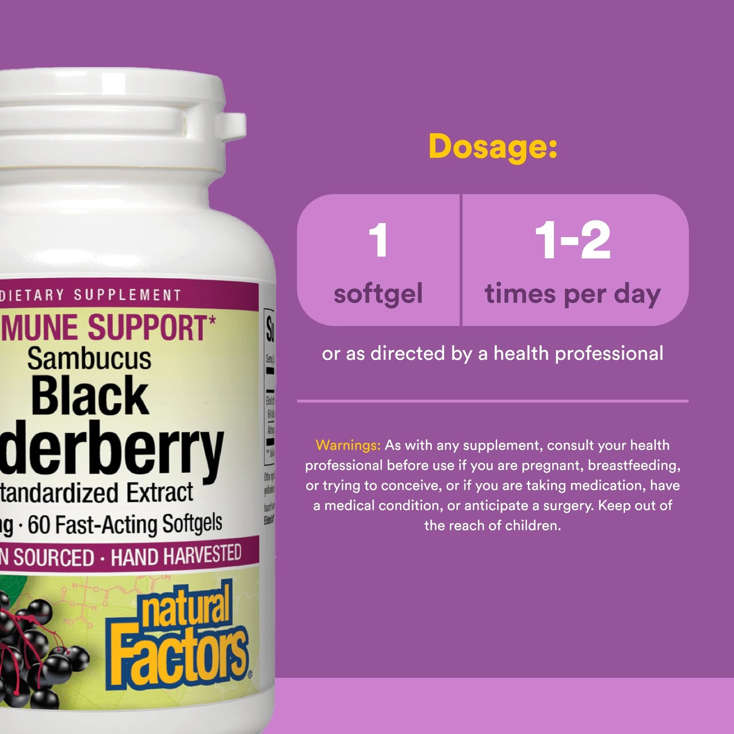 Natural Factors Sambucus Black Elderberry Standardized Extract Softgels 60