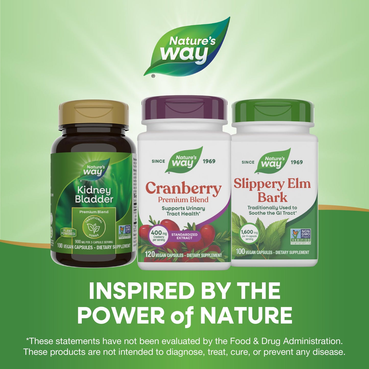 Nature's Way Premium Blend Cranberry Urinary Tract Health Support 120 Capsules