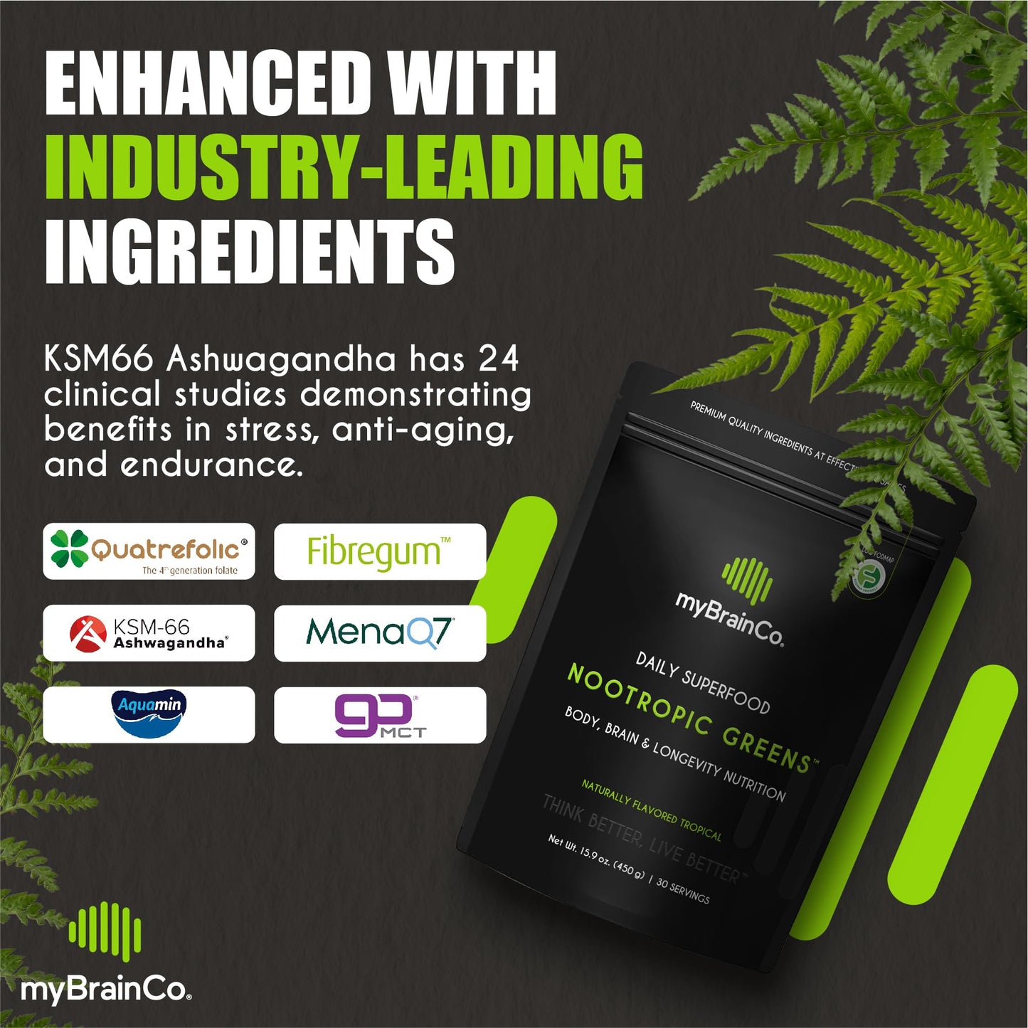 myBrainCo Nootropic Greens Powder, 15.9 oz