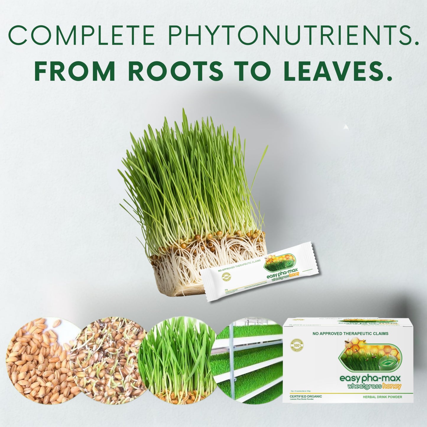 easy pha-max Organic Wheatgrass with Honey Powder, 10.5 Ounce