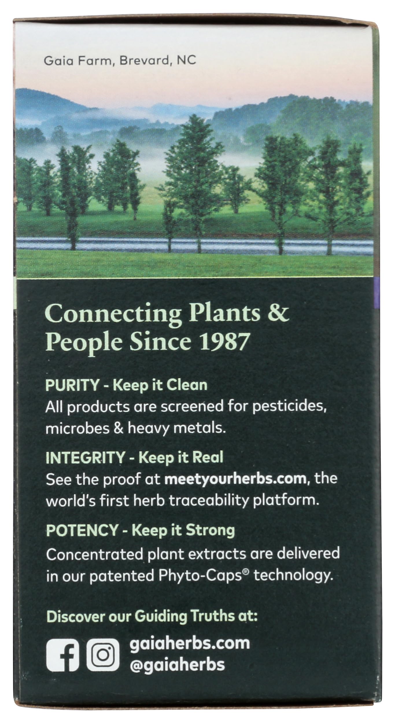 Gaia Herbs St. John's Wort Vegan Liquid Capsules, 60 Count