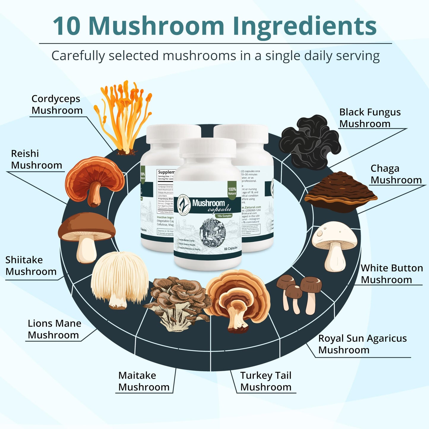 Zatural Mushroom Complex 10x Nootropic Mushroom Supplement with Lions Mane, Cordyceps, Reishi, Shiitake, Chaga, Turkey Tail, Maitake, 1330mg per Serving, 240 Capsules