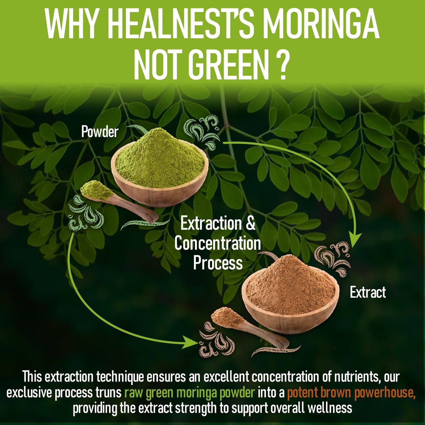 HEALNEST Pure Moringa Extract 120 Capsules