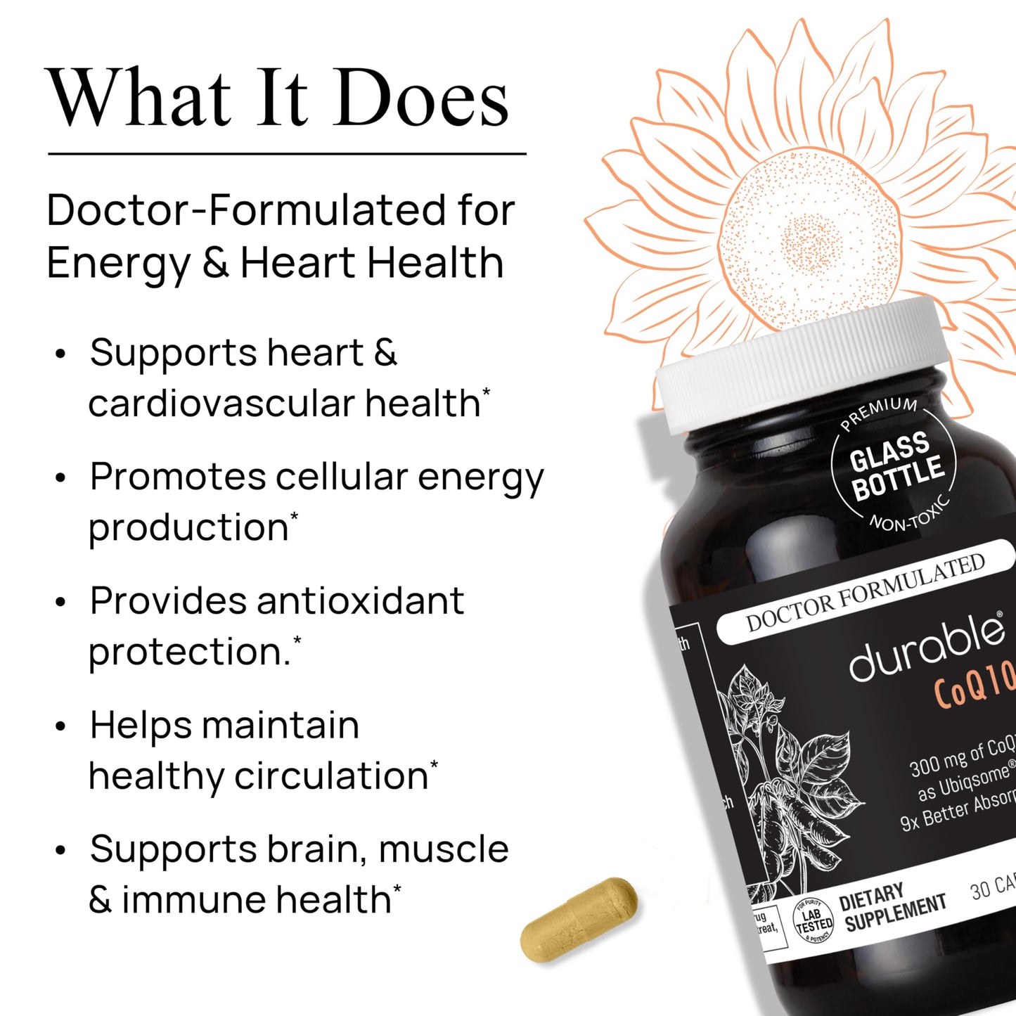 Durable CoQ10 – 300 mg Ubiqsome® CoQ10 Phytosome with 9X Better Absorption, One Per Day Antioxidant for Heart Health, Doctor-Formulated, Made in USA, 90 Capsules