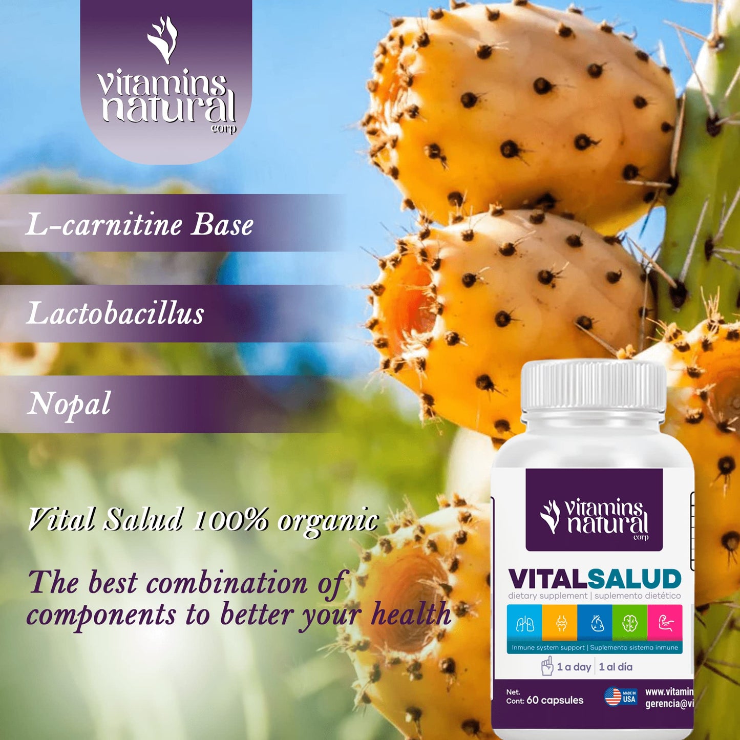 VITAMINS NATURAL CORP Probiotic and Botanical Digestive Supplement Capsule, 1 Count