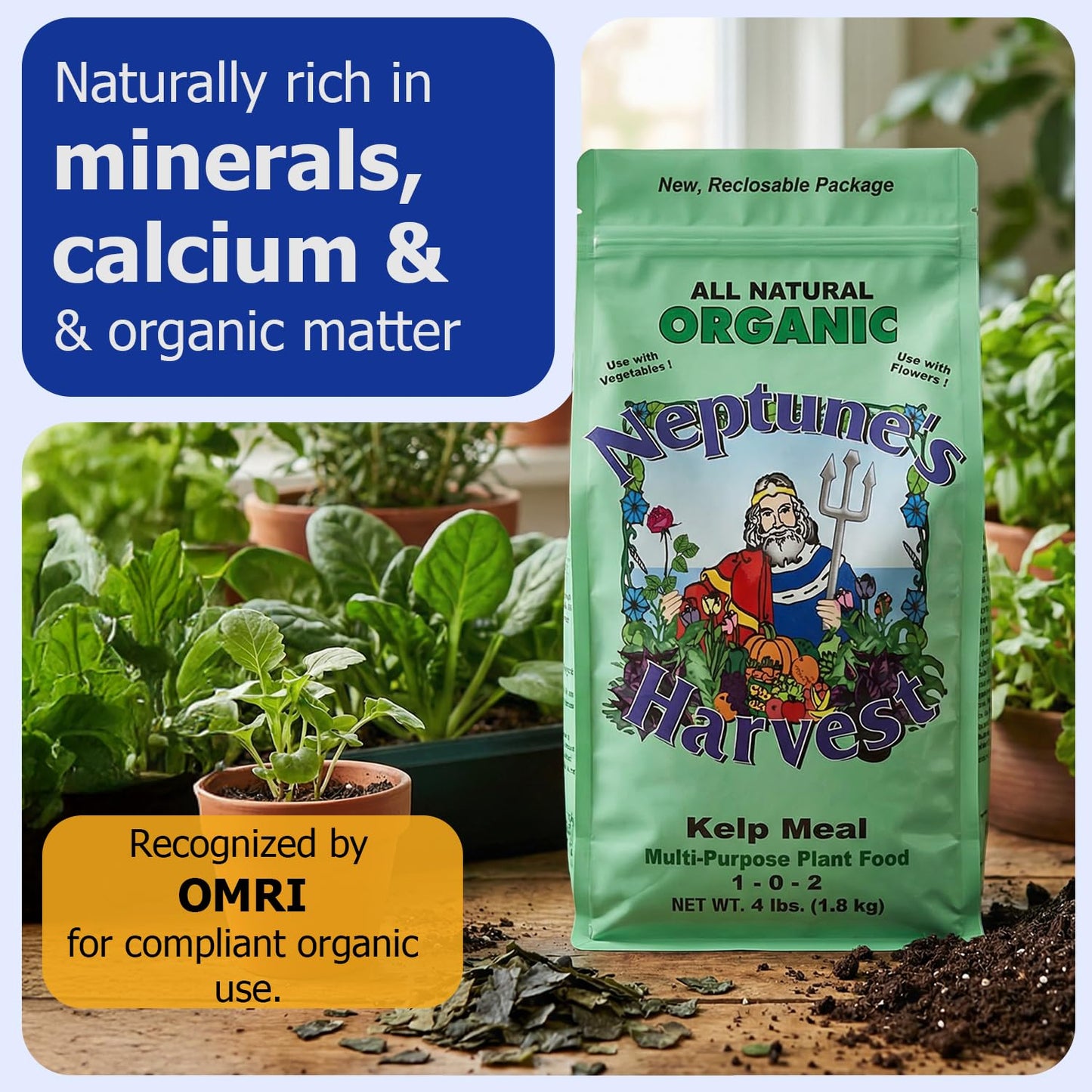 Neptune's Harvest Organic Kelp Meal Plant Food Powder, 4 lb (64 oz)