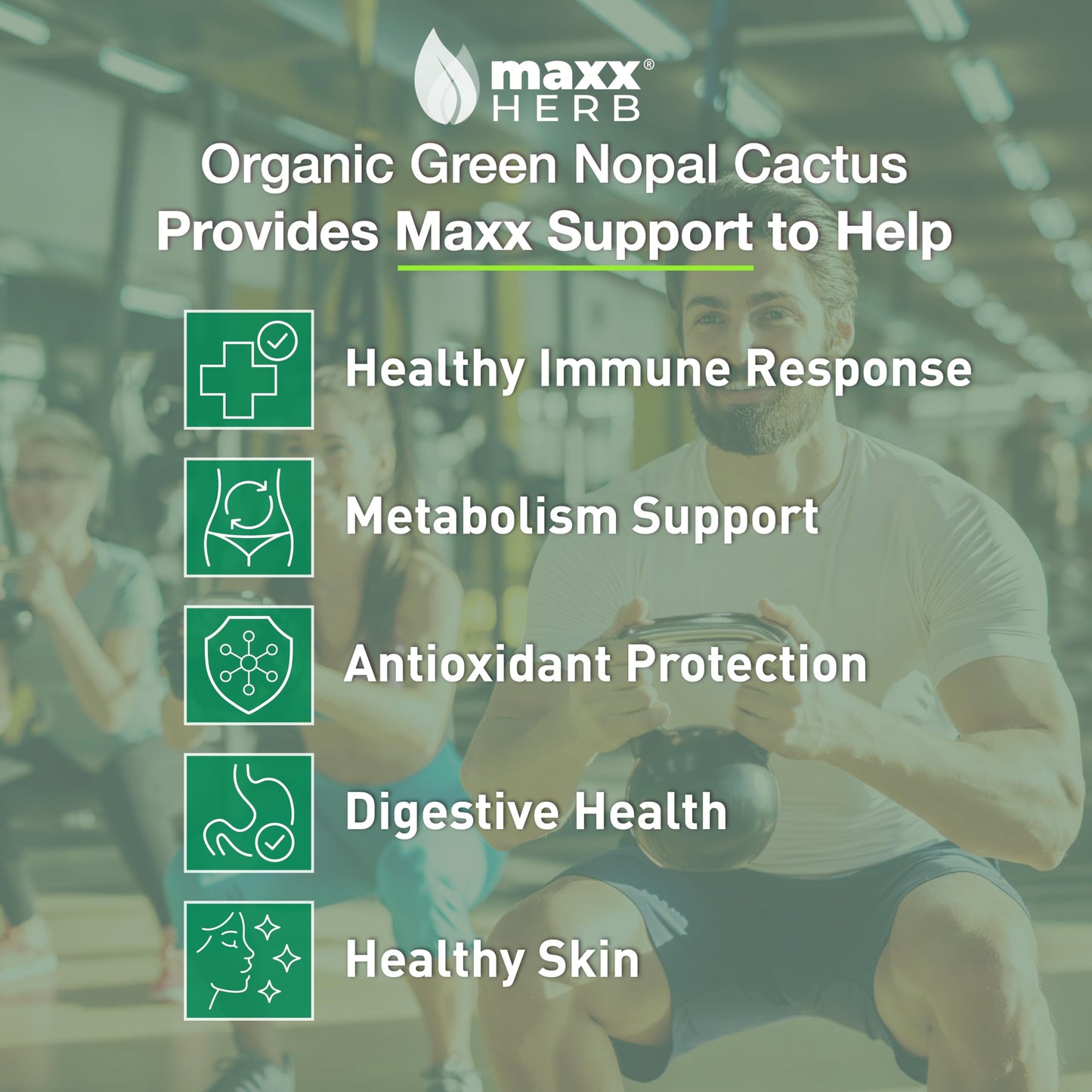 Maxx Herb Green Nopal Cactus Capsules, 180 Count