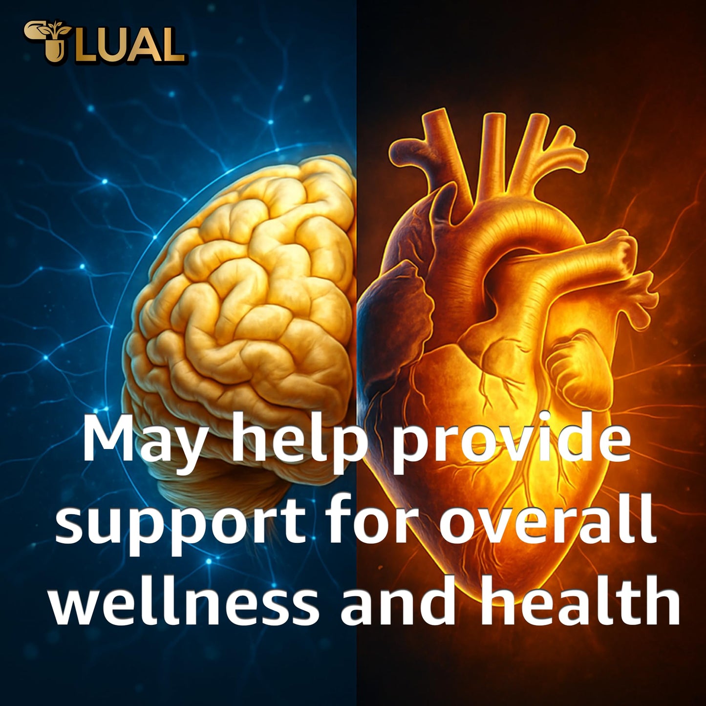LUAL Omega-3 Fish Oil Softgels 1000mg, EPA & DHA, Lemon Flavor, Burpless, Non-GMO, 120 Count