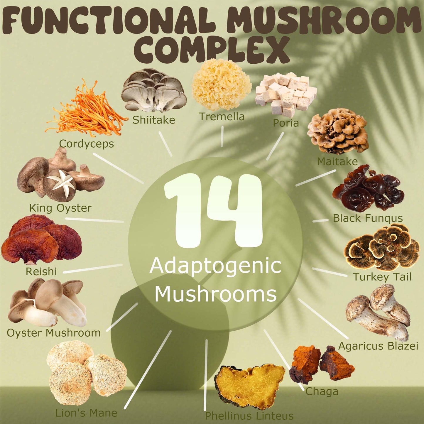 NUTRATASTE HEALTHIER CHOICE RICHER TASTE 15-in-1 Mushroom Coconut Creamer Powder 6.35 oz