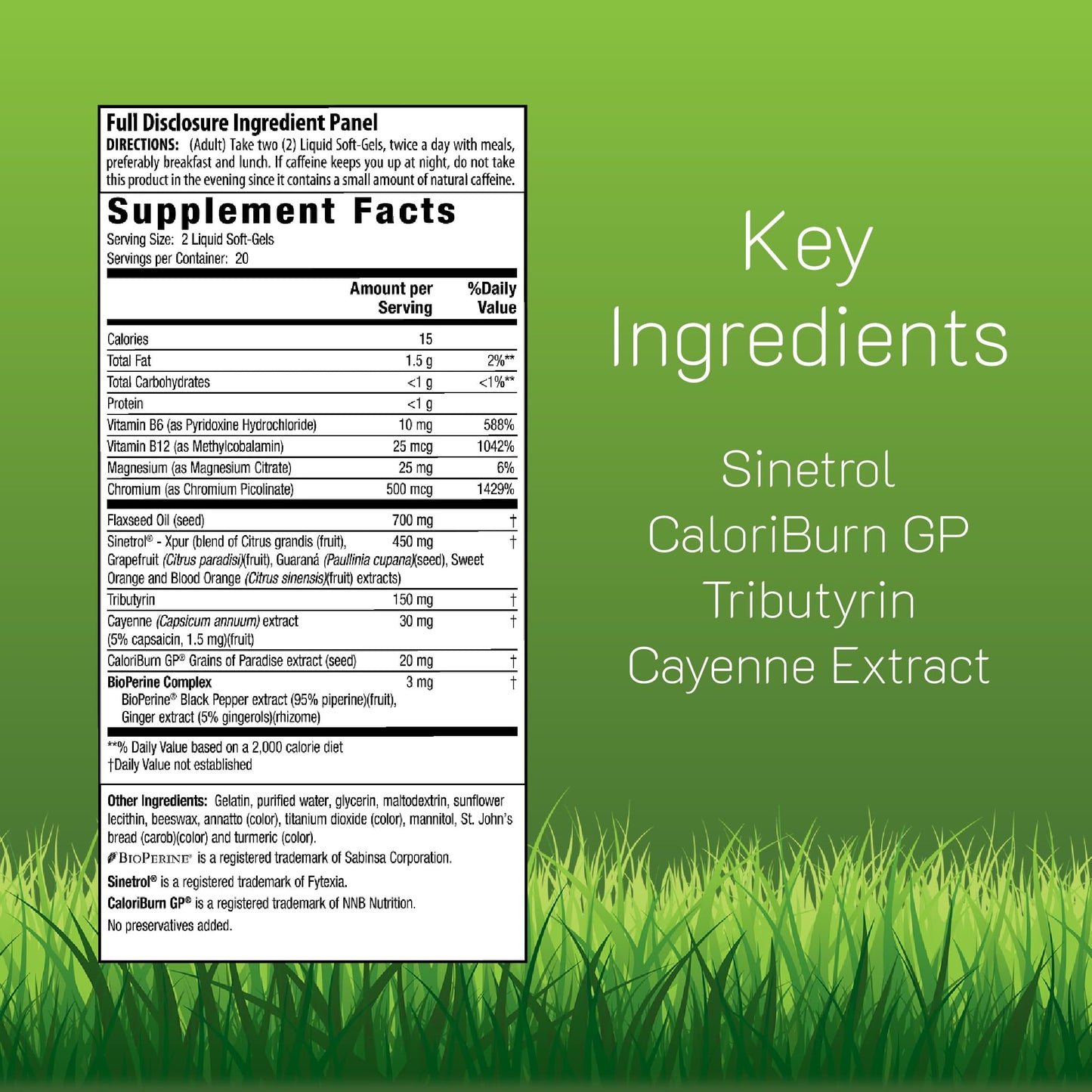 Irwin Naturals Stored-Fat Belly Burner Plus CaloriBurn GP Softgels 40 Count