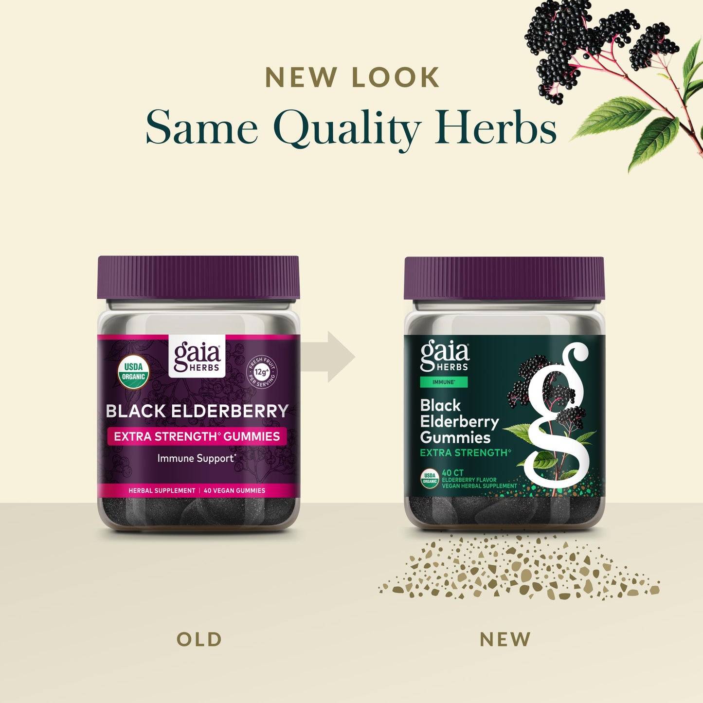 Gaia Herbs Black Elderberry (Sambucus nigra) Extra Strength Gummies, 40 Count