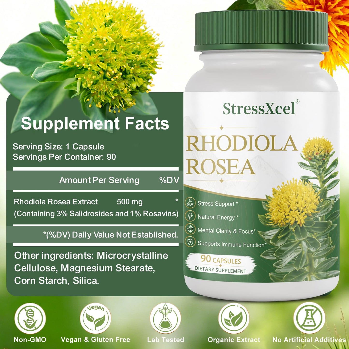 StressXcel Rhodiola Rosea Supplement Capsules, 90 Count