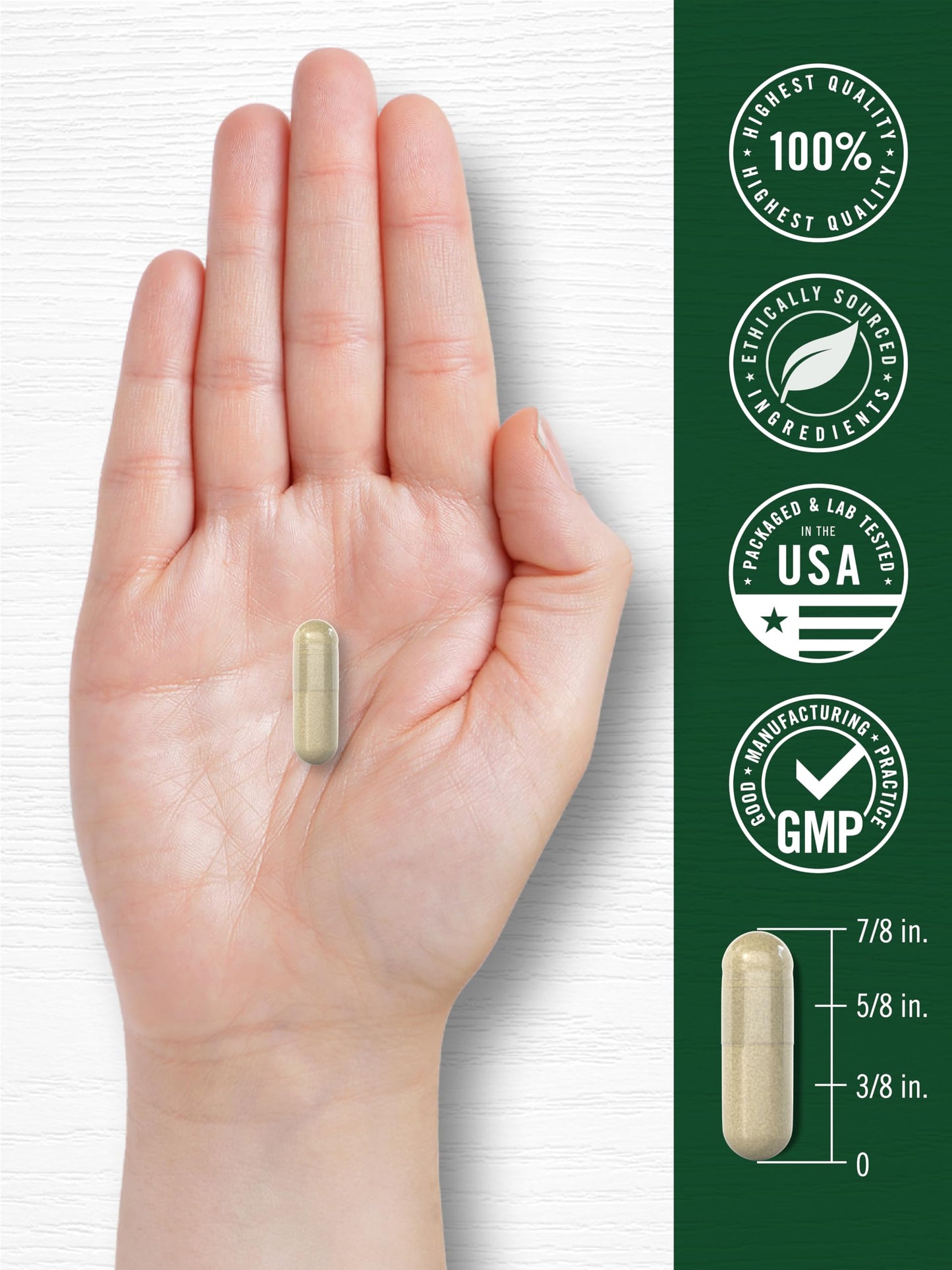 Carlyle Leg Vein Supplement Capsule 180 Count
