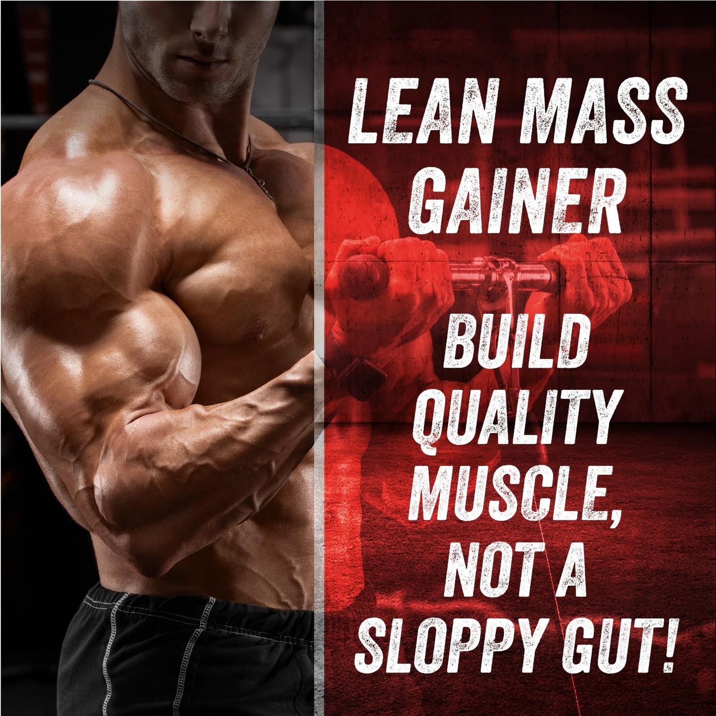 Myogenix Critical Mass Gainer Powder 95.04