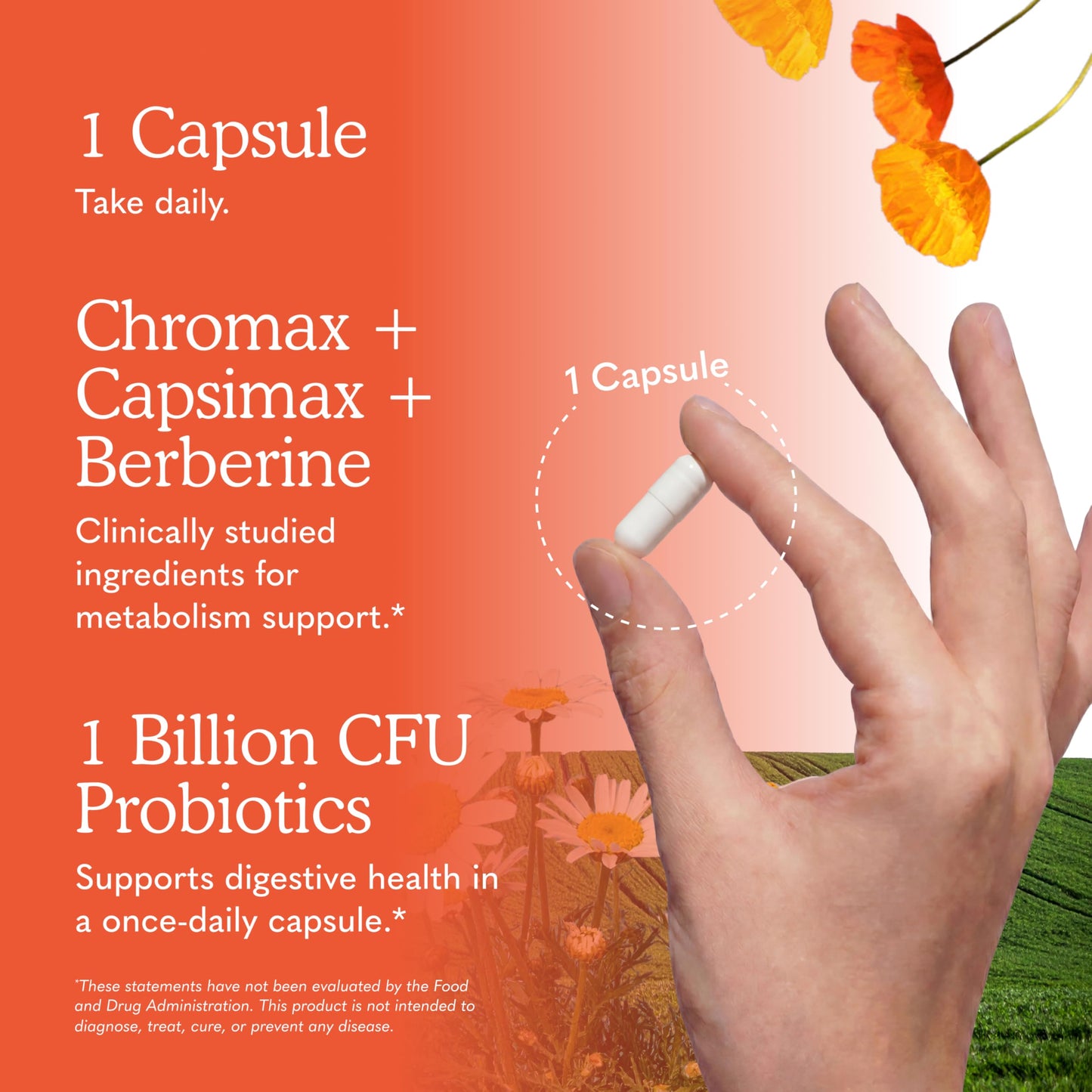 Garden of Life Multivitamin Liposomal Metabolism 30 Capsules