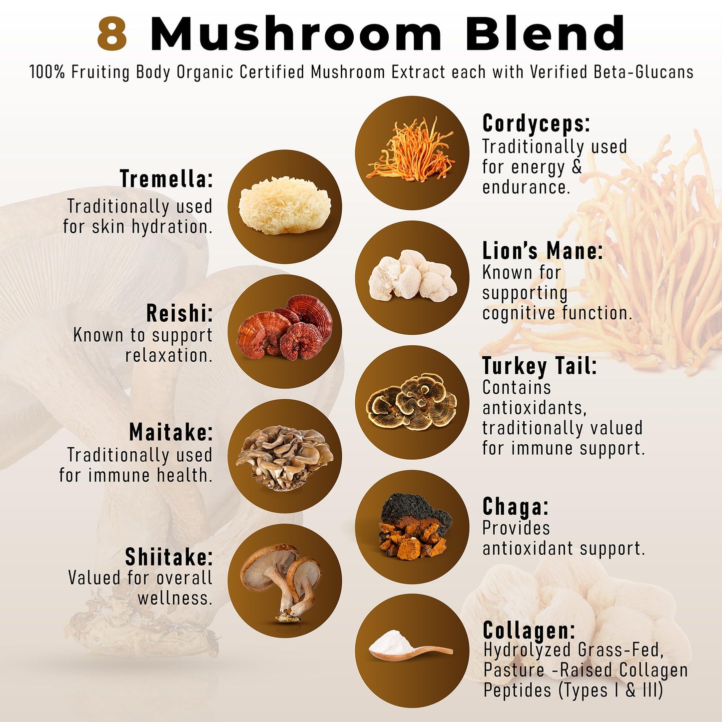 PowderVitamin Organic Mushroom Coffee Powder with Grass-Fed Collagen Types I & III, 8 Fruiting Body Mushrooms, Certified Mold & Mycotoxin Free, Tested for Beta-Glucans, Focus Energy Digestion & Immunity, 4.5 oz