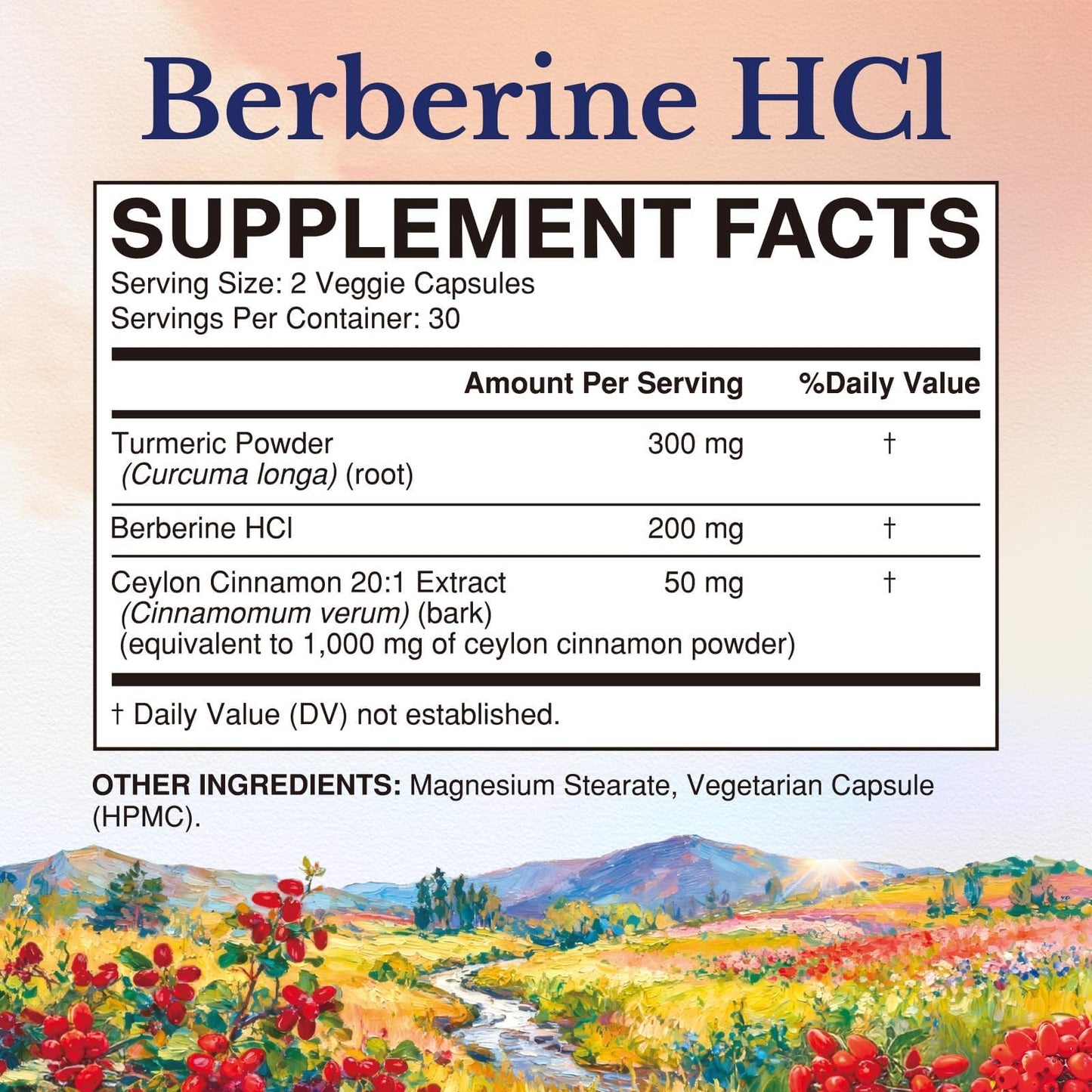 Vitalitown Berberine HCl 200mg with Ceylon Cinnamon & Turmeric, 97% Purity, Concentrated Berberine Supplement, 60 Capsules