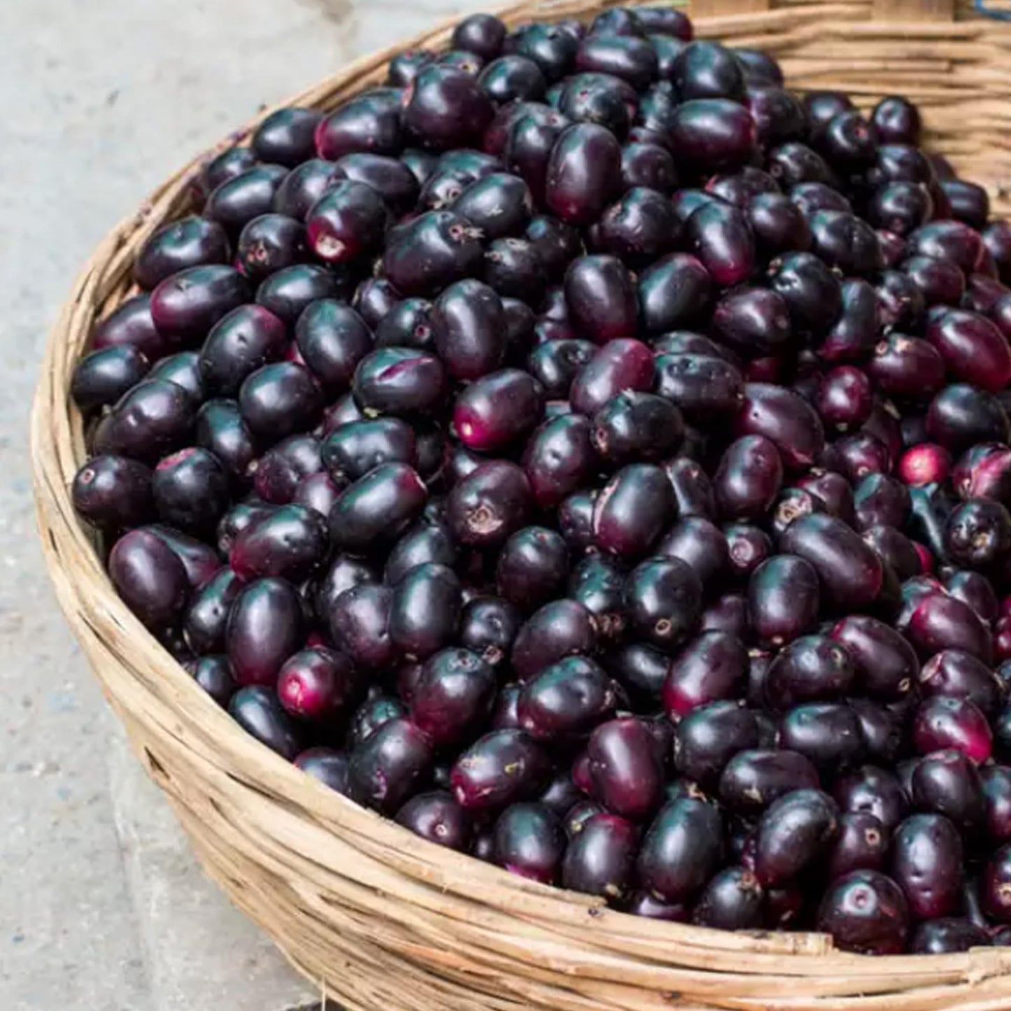 Earthborn Elements Jamun Seed Capsules, 200 Count