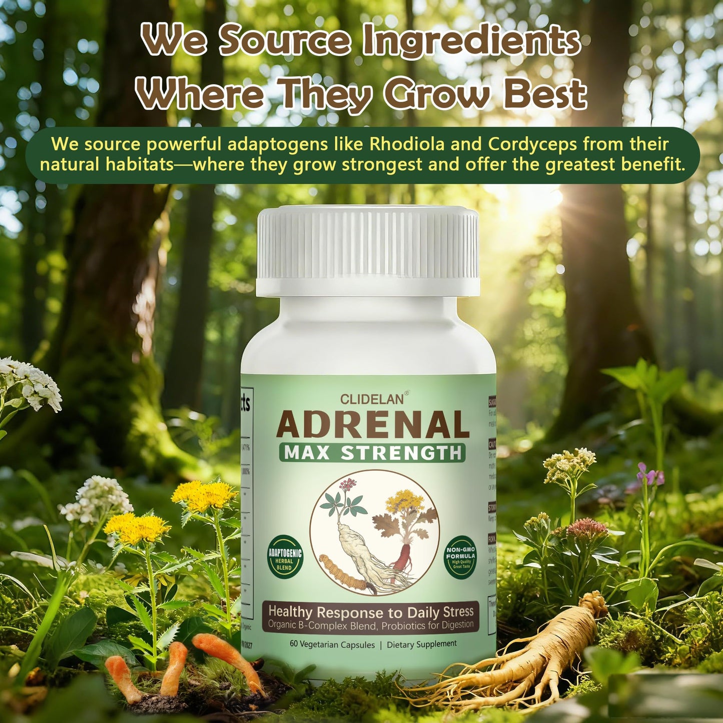 Clidelan Adrenal Support Supplements for Daily Balance Capsules, 60 Capsules