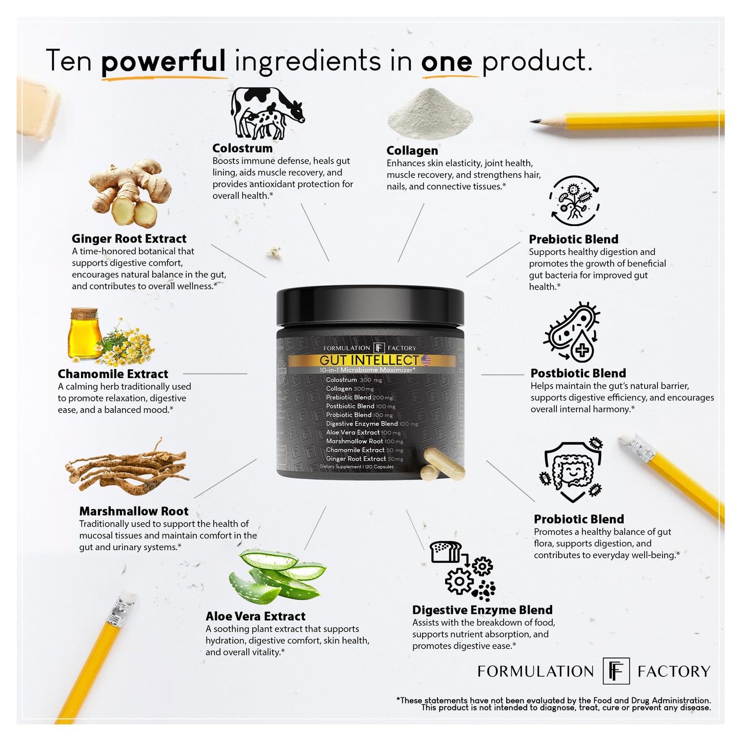 Formulation Factory Gut Intellect 10-in-1 Microbiome Supplement Capsules 240