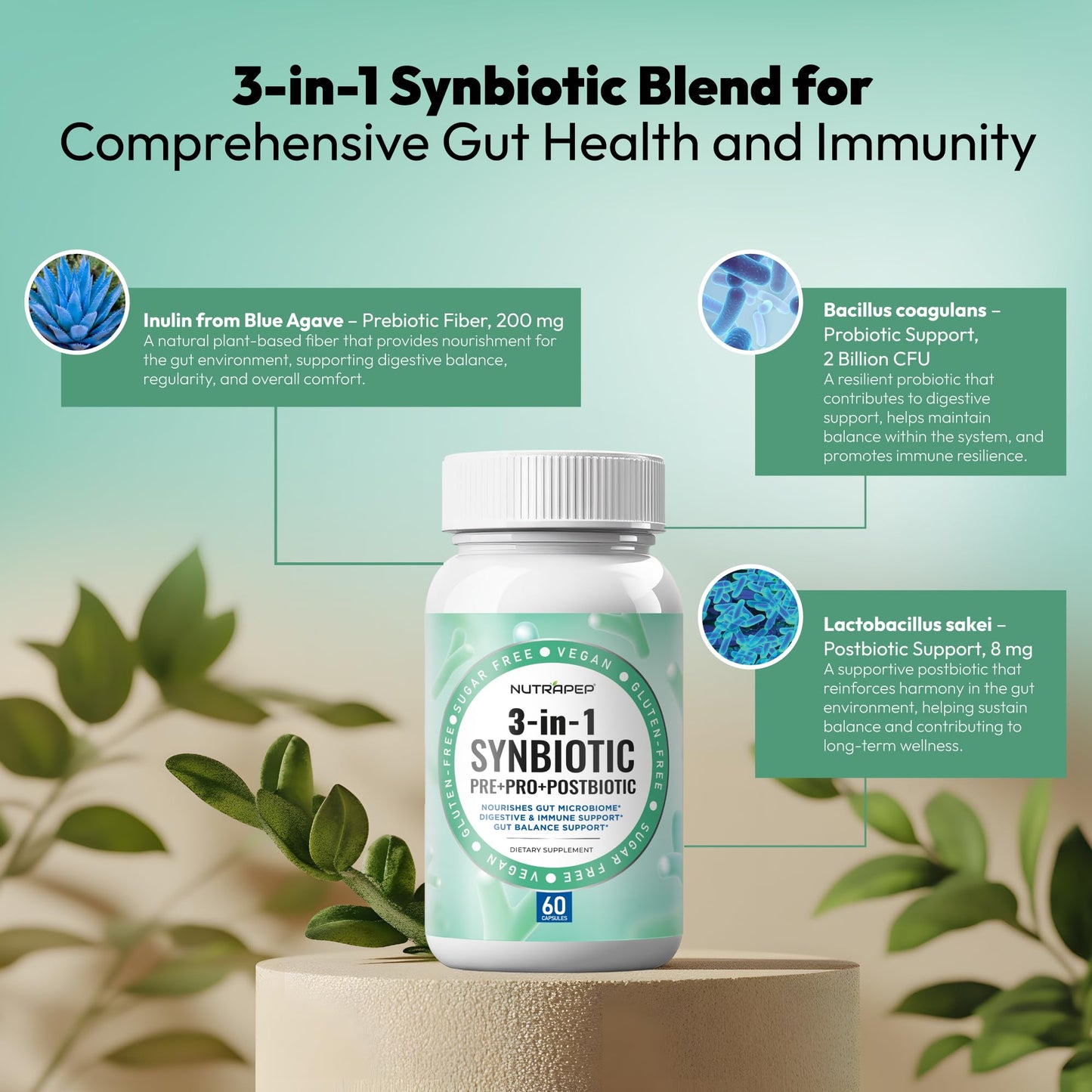 NutraPep Synbiotics Probiotic Prebiotic Postbiotic Capsule 60 Count