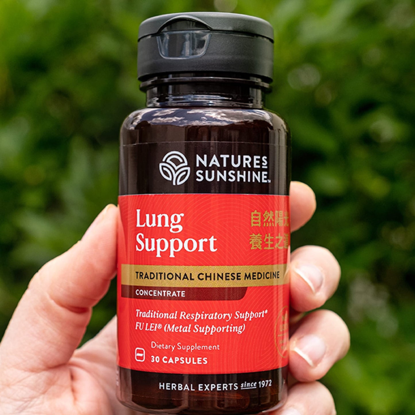 Nature's Sunshine Lung Support Chinese TCM Concentrate Capsules, 30 Capsules