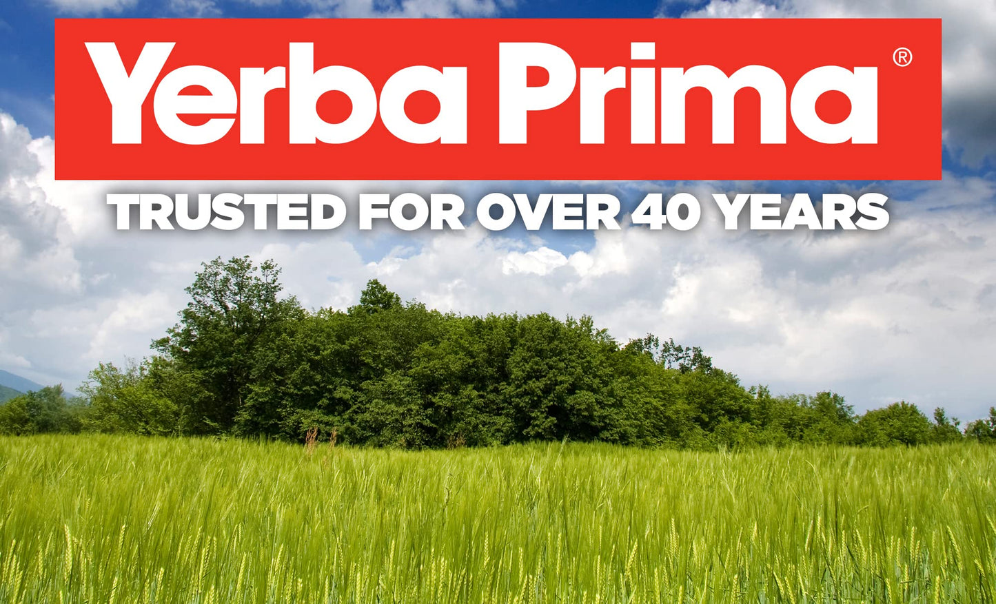 Yerba Prima Psyllium Husks Veg Capsules, 800 Capsules