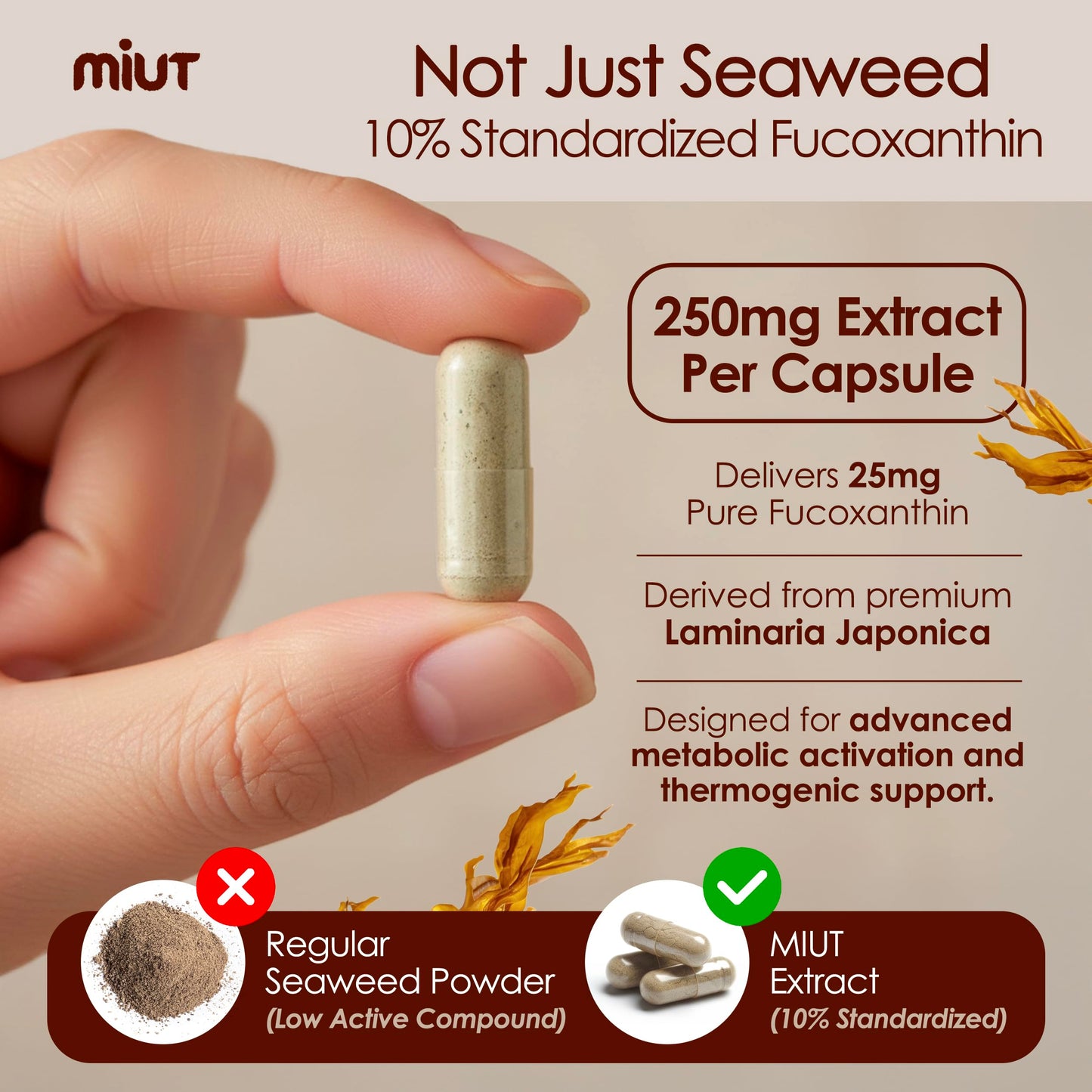 MIUT Fucoxanthin Brown Seaweed Extract Supplement 250mg, 10% Standardized Fucoxanthin with Vitamin E & MCT Oil Capsules, 100 Capsules
