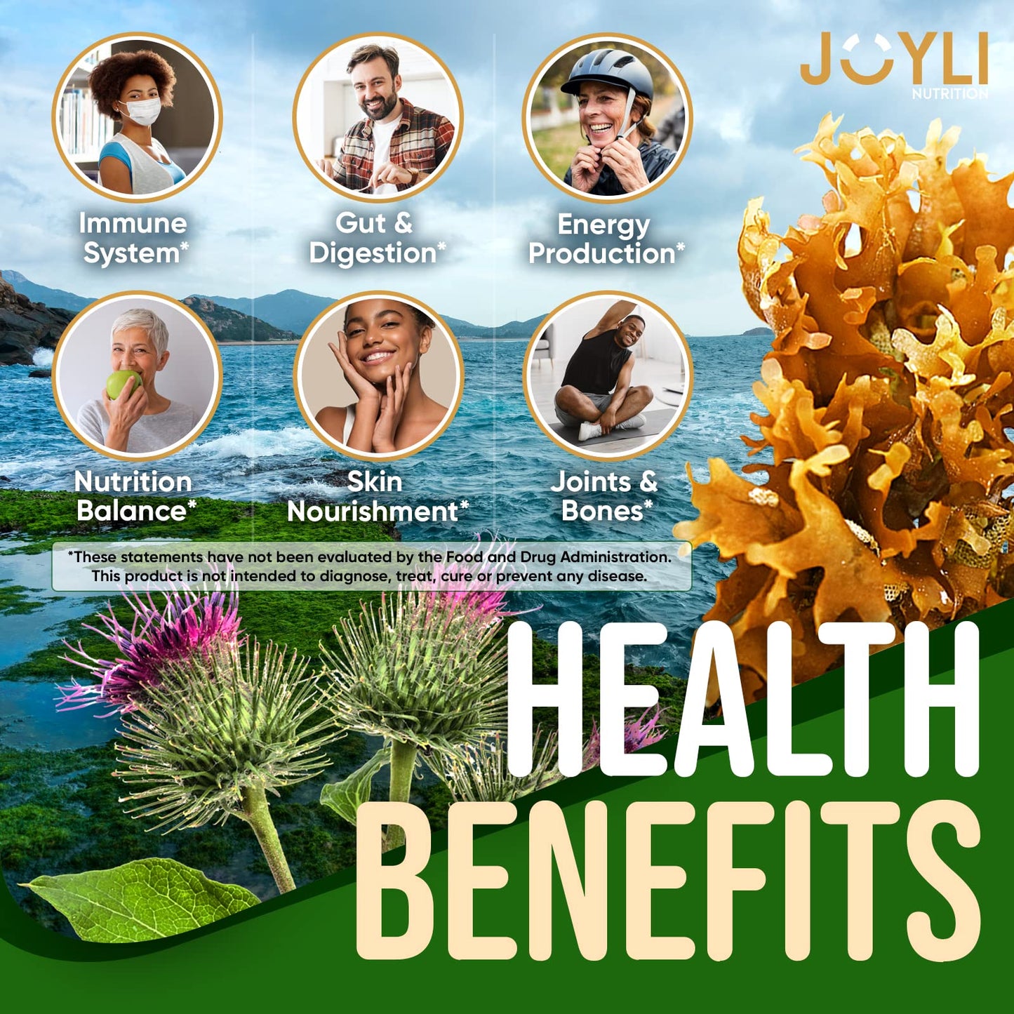 JOYLI Nutrition Sea Moss Gummies with Bladderwrack & Burdock Root – Vegan Irish Sea Moss Supplement, Sugar-Free, 120 Gummies