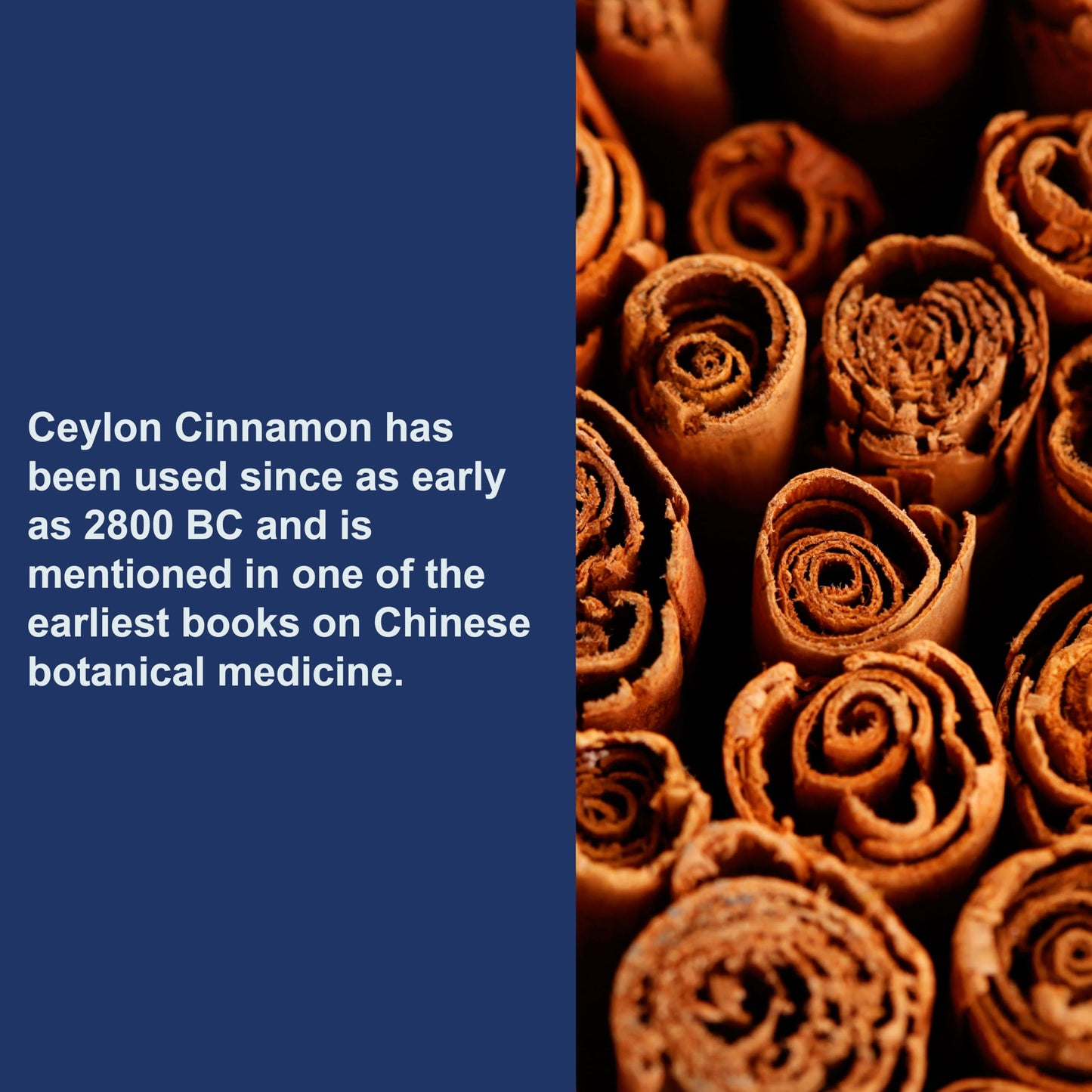 Carlson Ceylon Cinnamon Capsules 180 Count