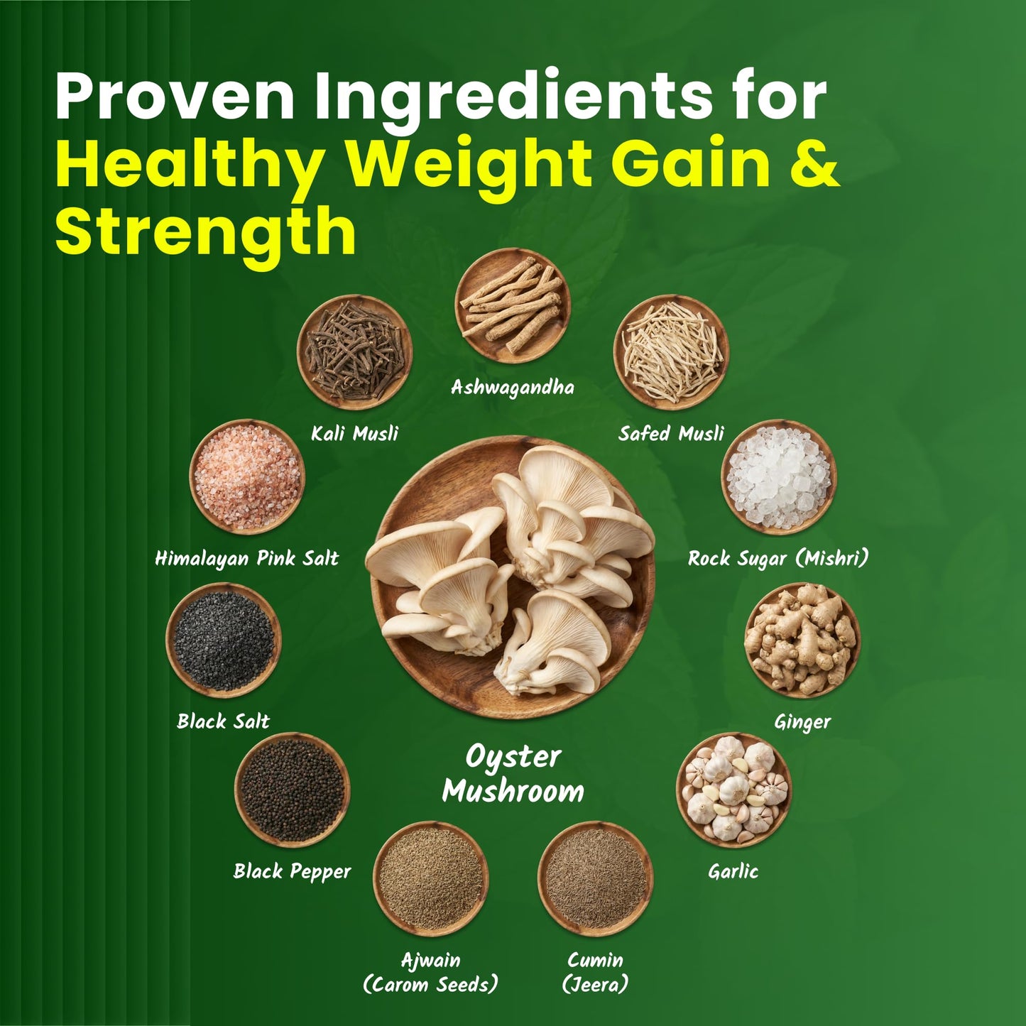 Mushroomex Mushroom Powder 100 Gram