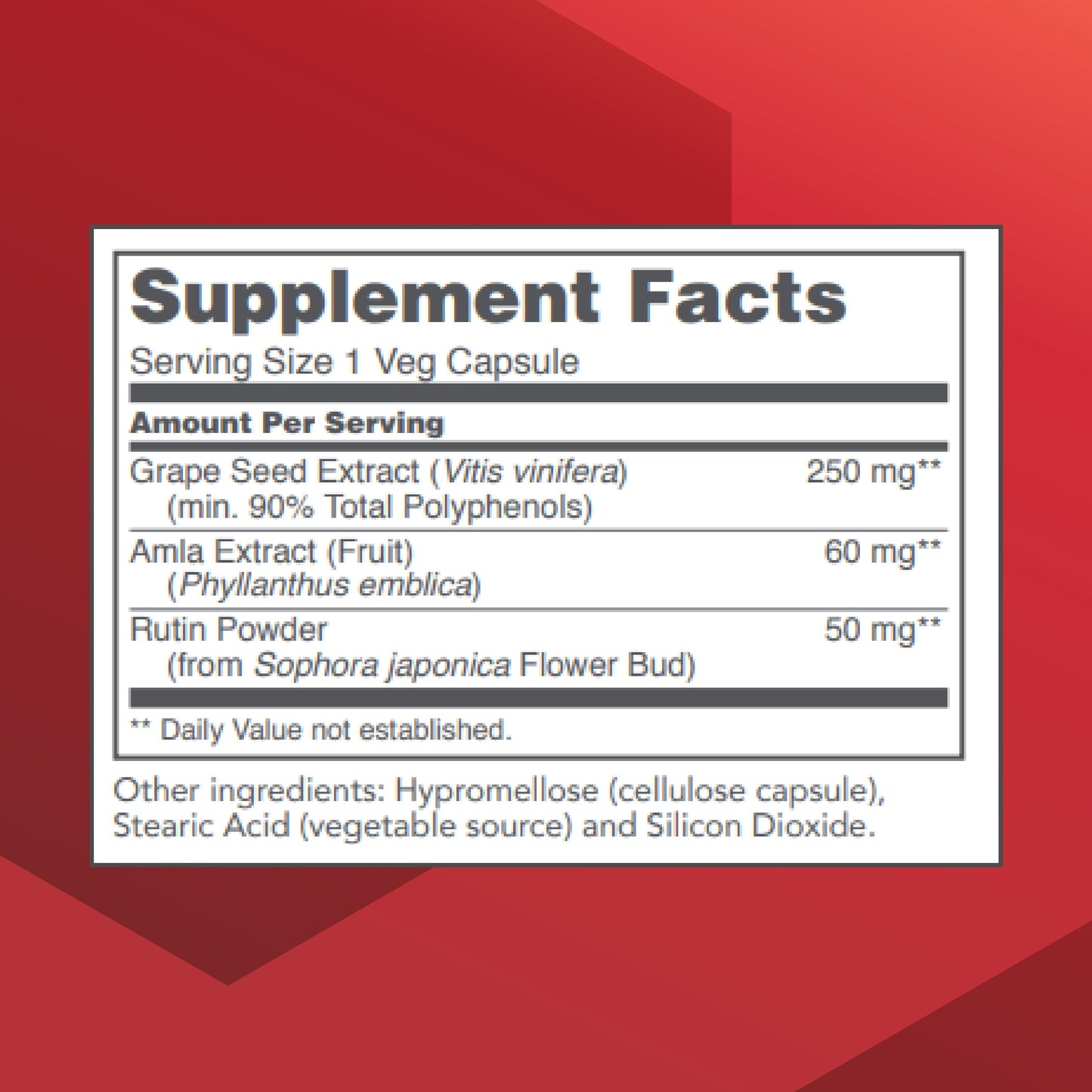 Protocol for Life Balance Grape Seed OPC 250mg - 90% Polyphenols with Rutin & Amla Fruit Extract Capsule, 90 Veg Caps