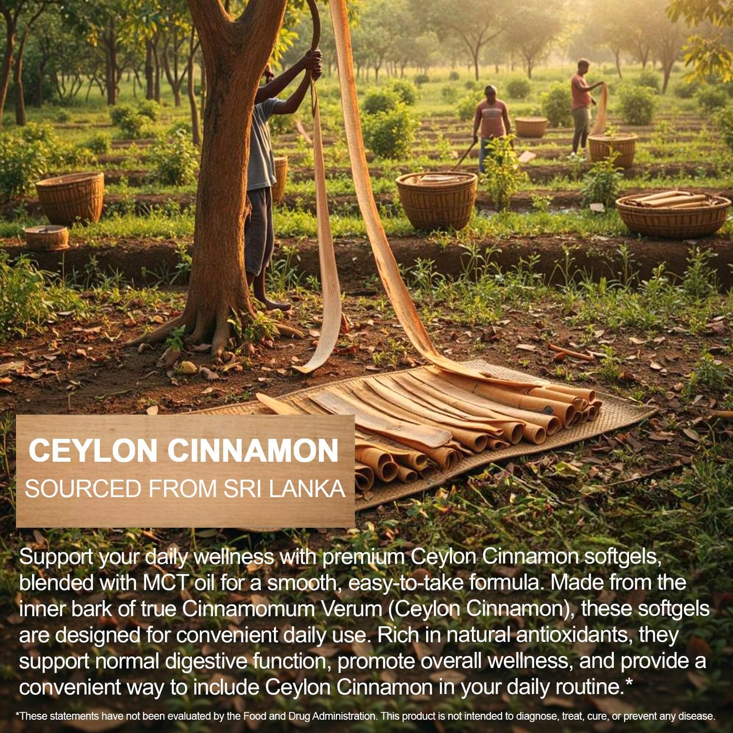 Akeeronn Ceylon Cinnamon Softgels 300