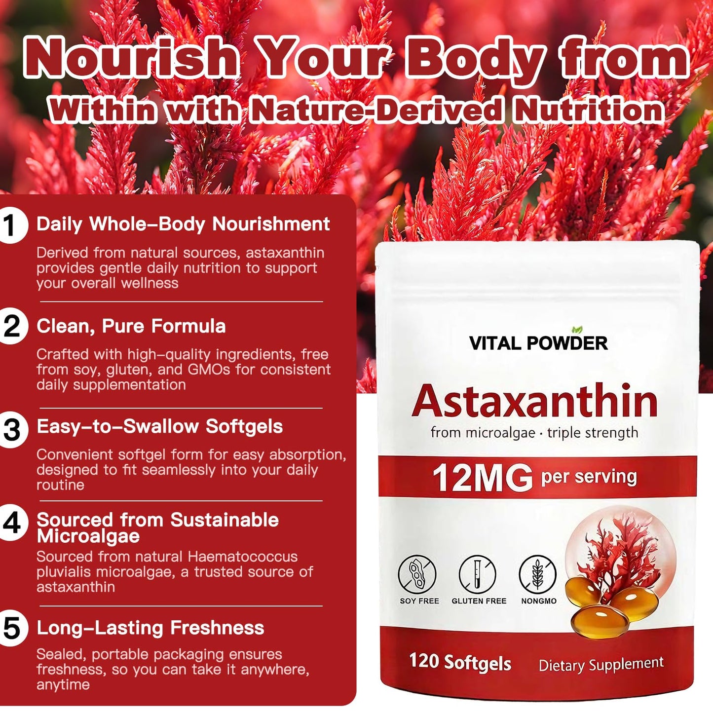 VITAL POWDER Astaxanthin 12mg Softgels 120 Count