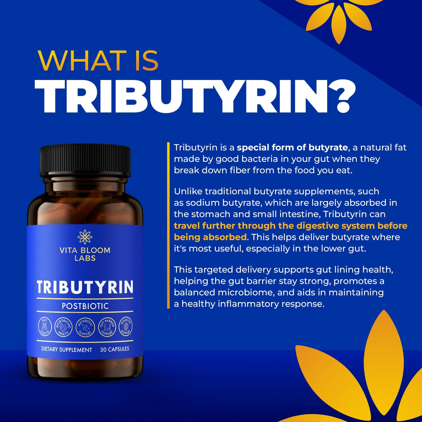 Vita Bloom Labs Tributyrin Supplement 30 Capsules