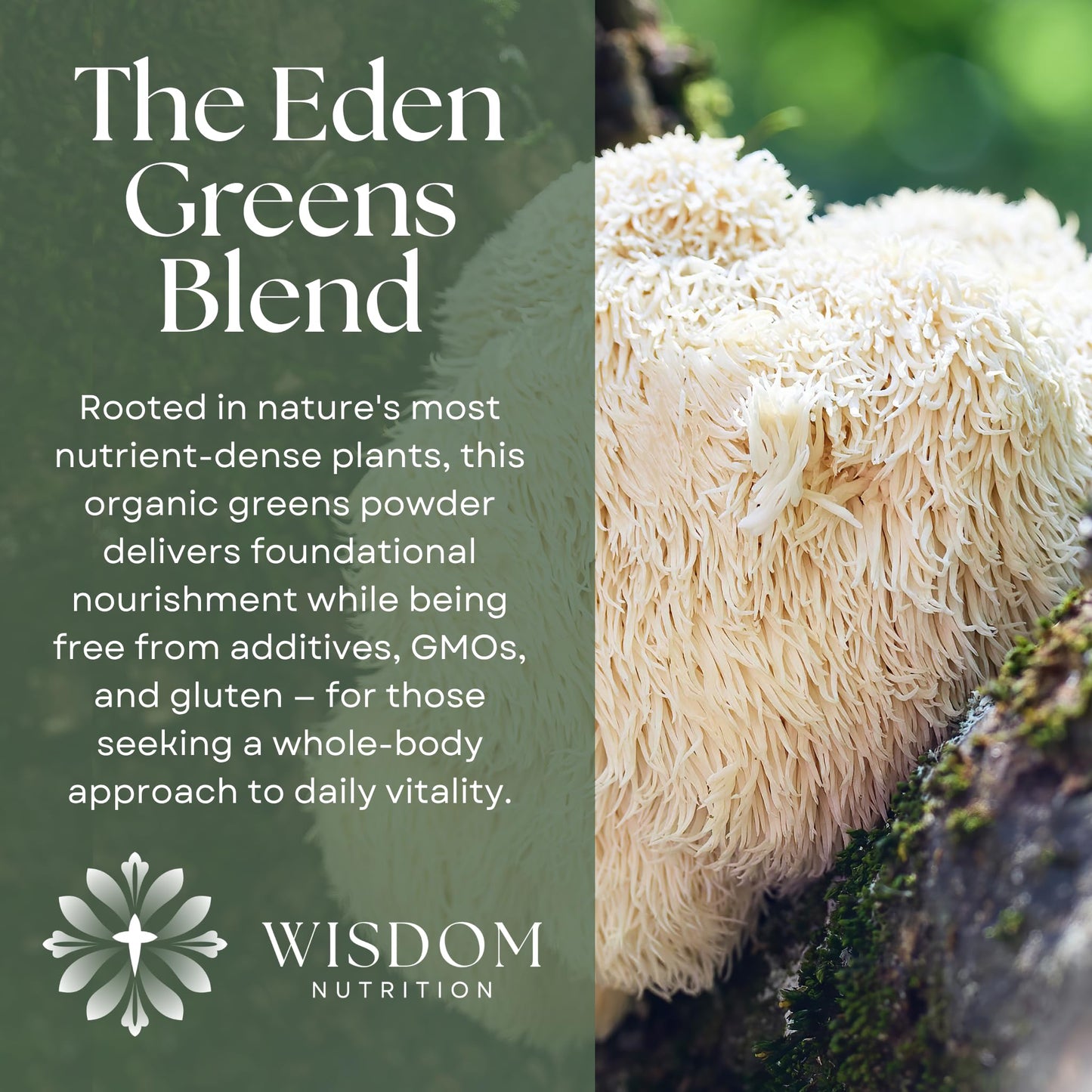 Wisdom Nutrition Organic Super Greens Powder with Mushroom Blend, Powder, 6 oz