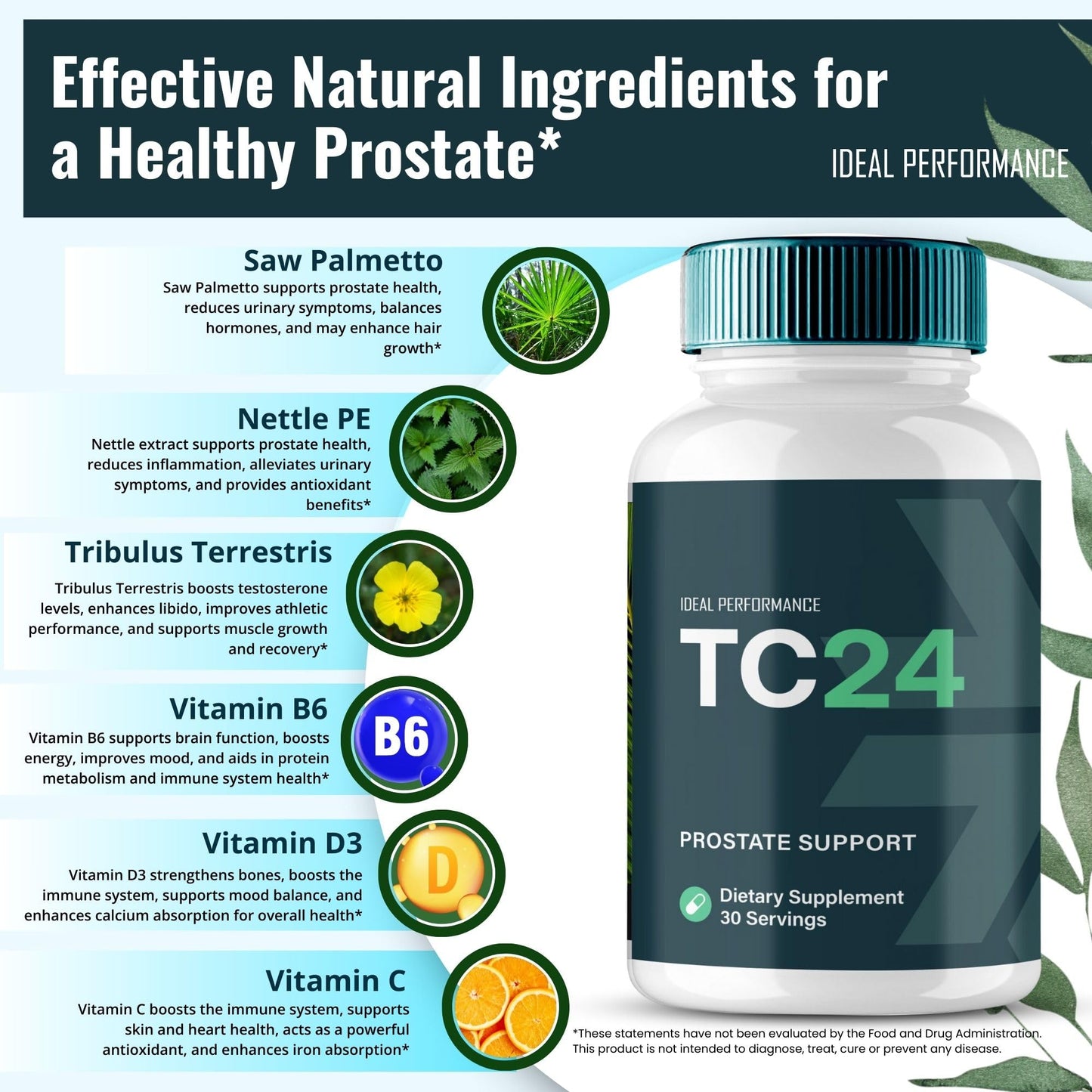 IDEAL PERFORMANCE TC24 Prostate Health Capsules 120 Count