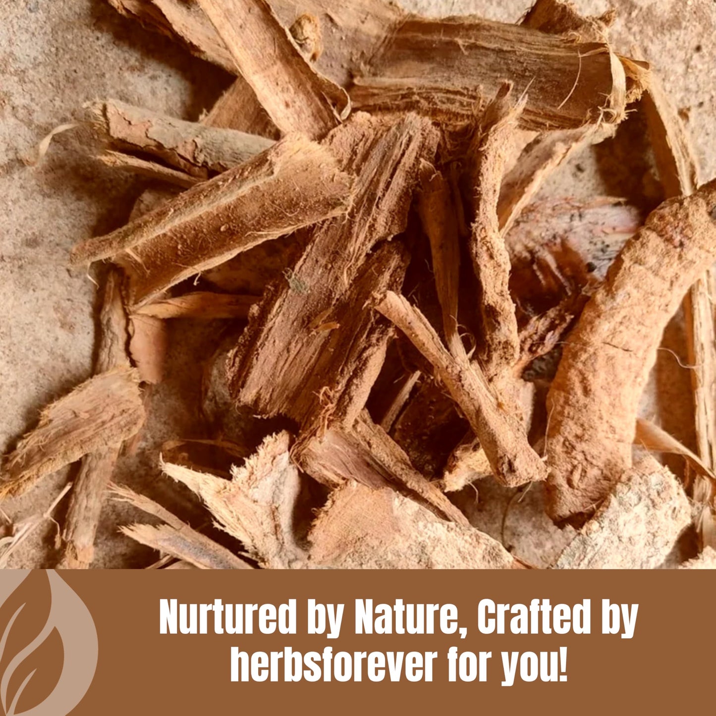 Herbsforever Kutaja Powder 16 oz