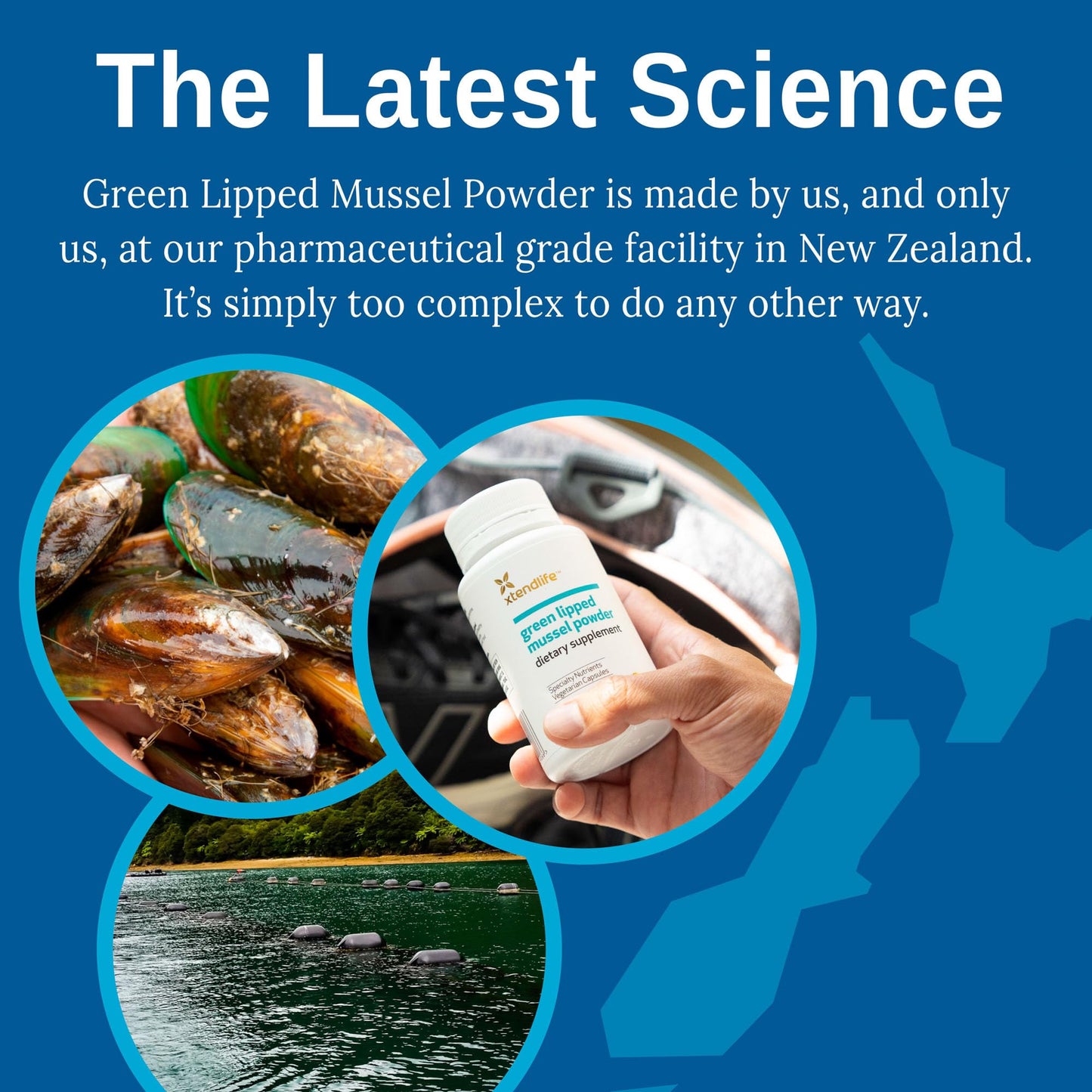 Xtendlife Green Lipped Mussel Supplement Capsule 360