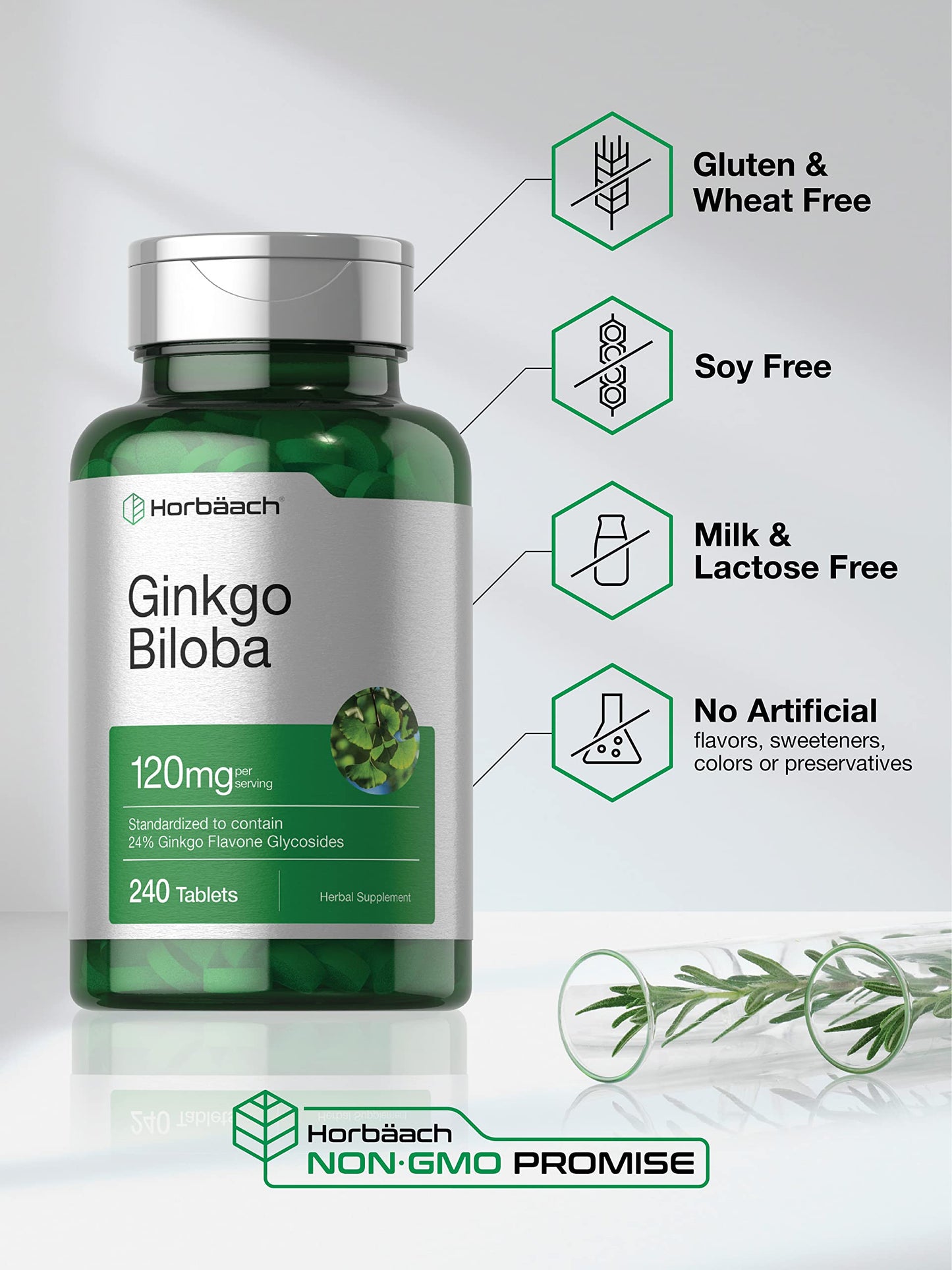 Horbäach Ginkgo Biloba Supplement 120 mg Tablet 240 Tablets