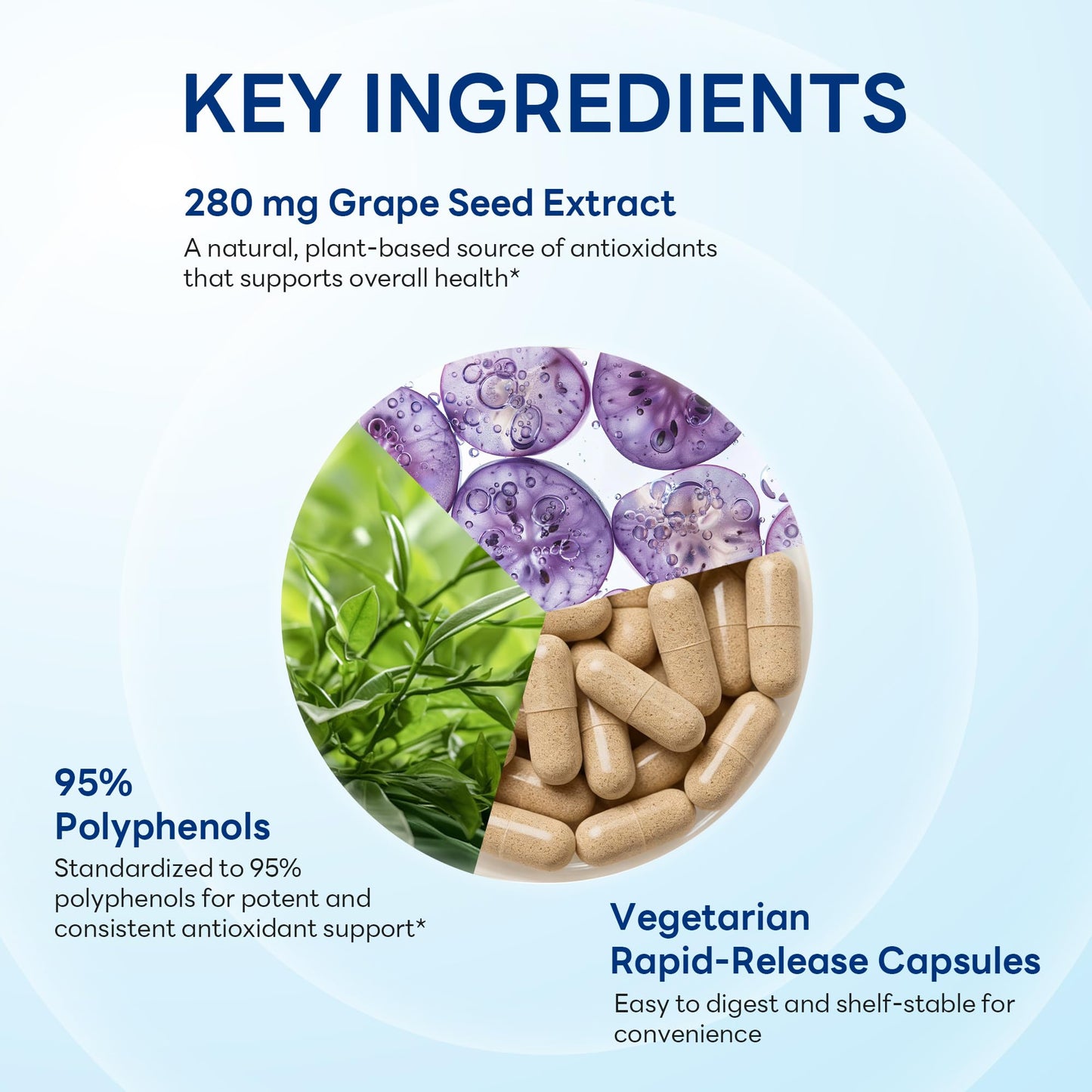 Vitamin World Grape Seed Extract, 95% Polyphenols, Vegetarian Capsule, 100