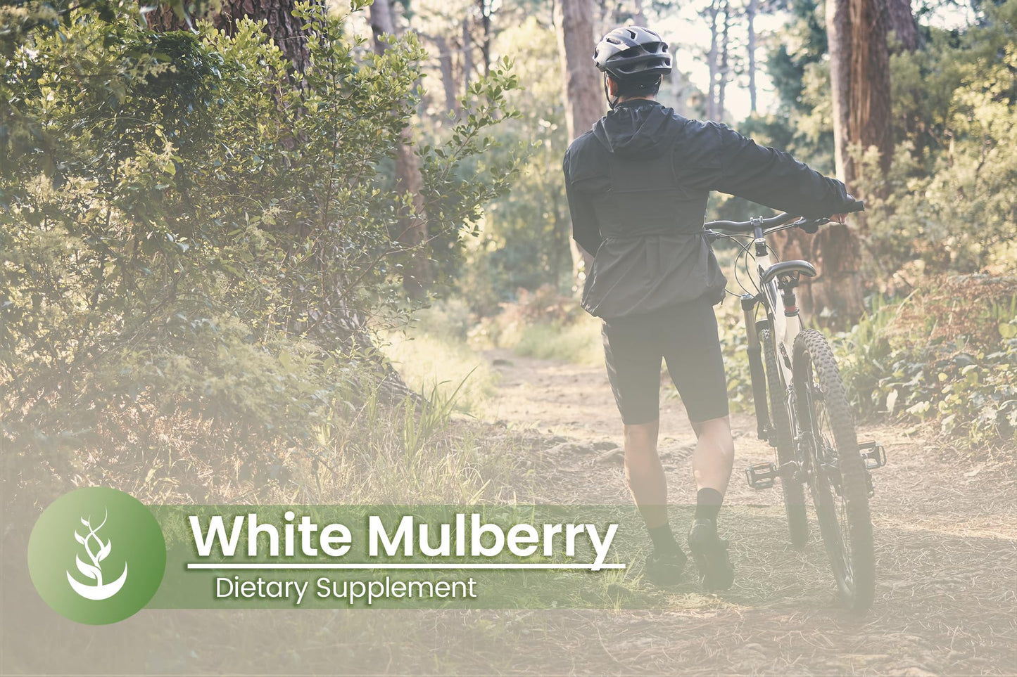 Pure Original Ingredients White Mulberry Leaf Extract 100 Capsules