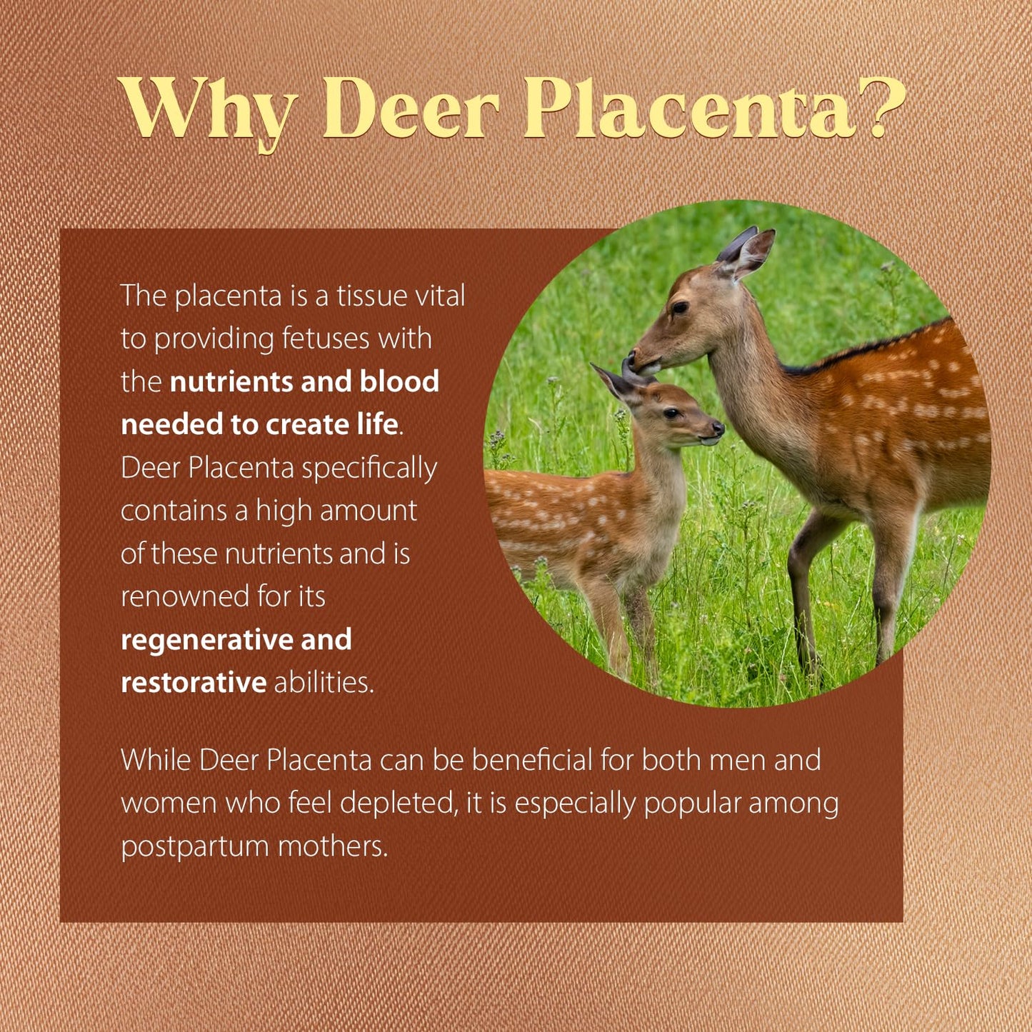 Dragon Herbs Deer Placenta Capsules, 60 Count